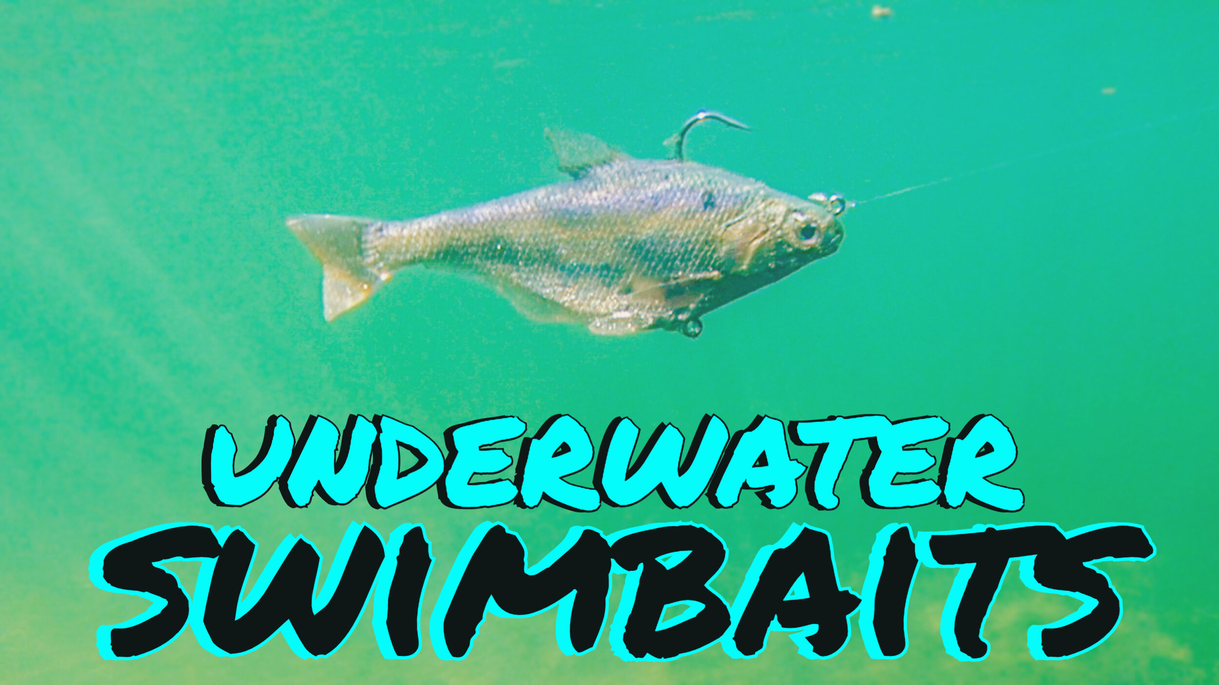 Amazing Underwater Footage of 8 Big Swimbaits! — Tactical Bassin' - Bass  Fishing Blog