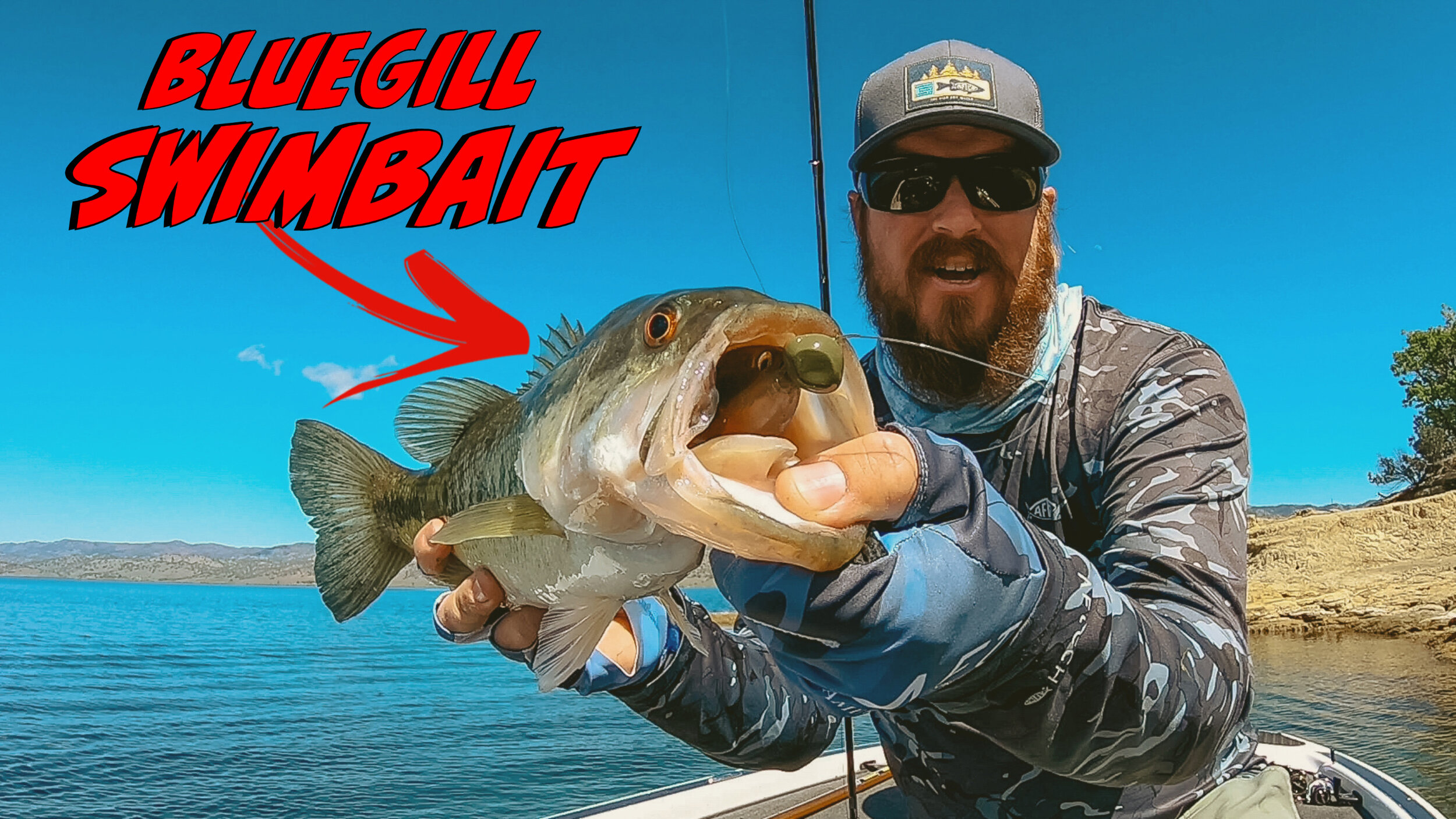 Buyer's Guide: Ned Rig Baits And Tips For Year Round Success! — Tactical  Bassin' - Bass Fishing Blog