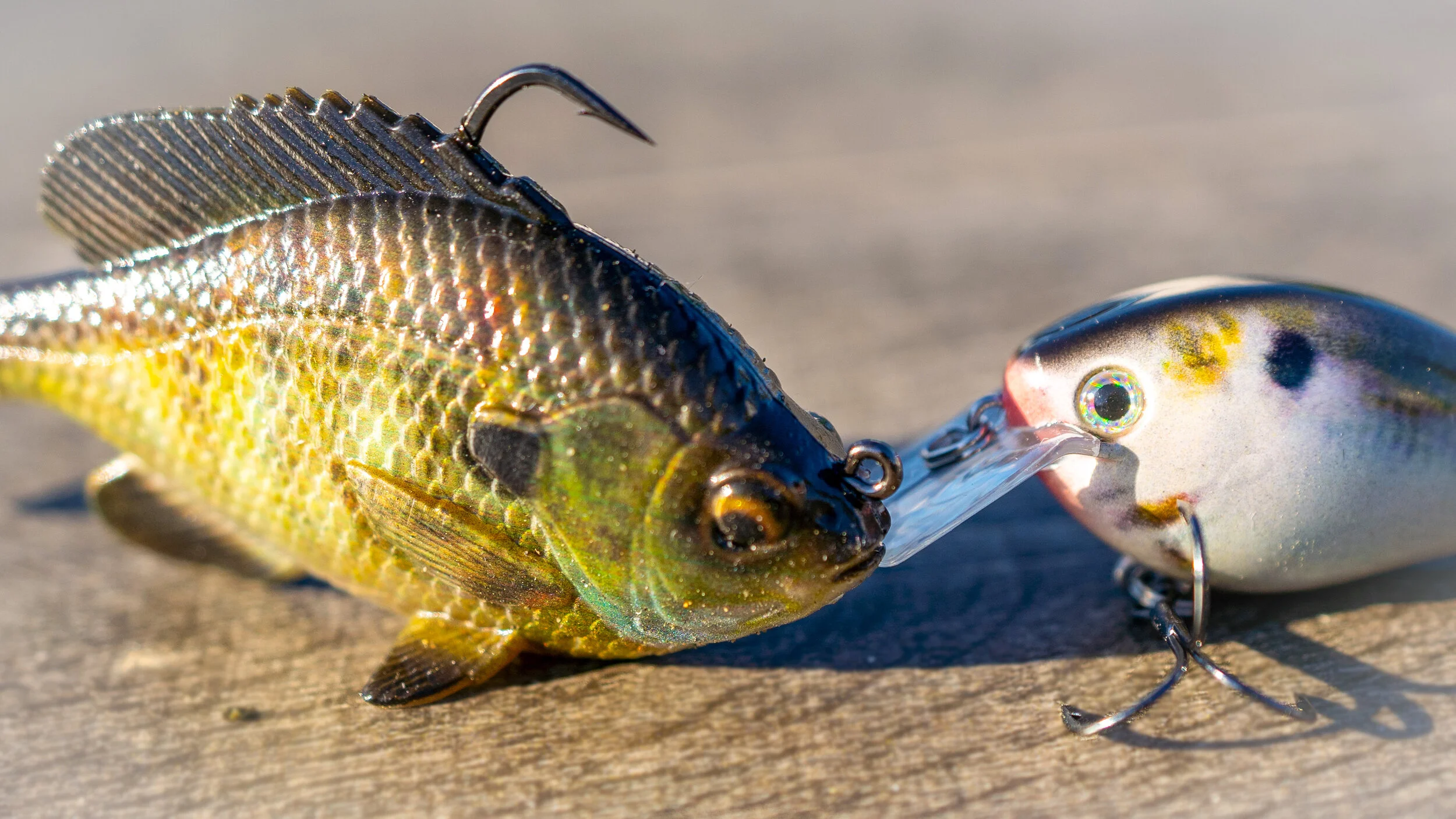 Cheap Lures That Actually Work! Save Money and Catch Fish!! — Tactical