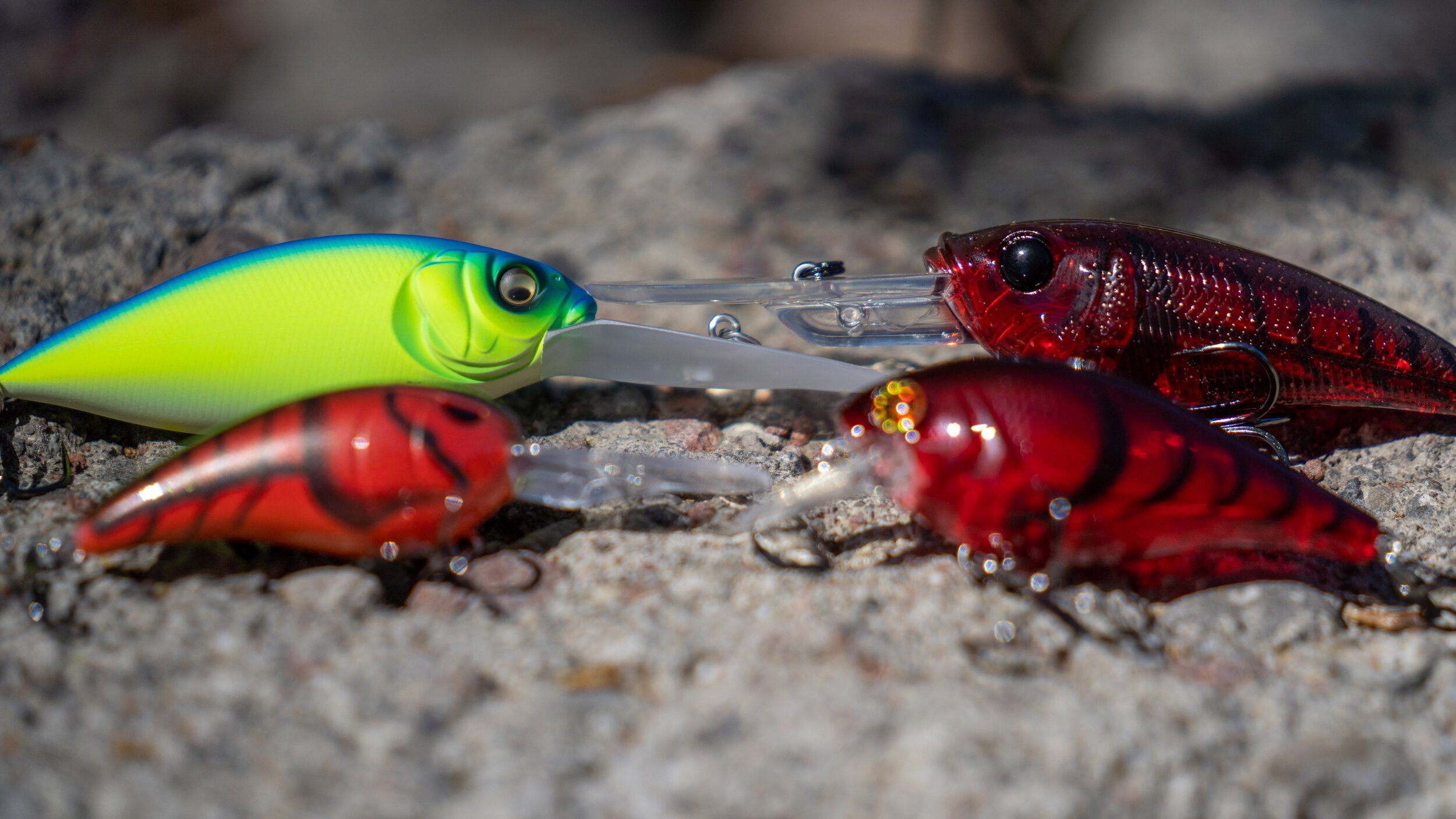 Post Spawn Crankbait Fishing Tricks - Speed Cranking For Aggressive Bass! —  Tactical Bassin' - Bass Fishing Blog