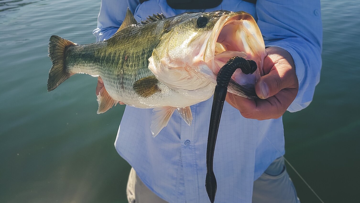 How To Fish BIG Plastic Worms  Rigging Tricks For Summer Bass