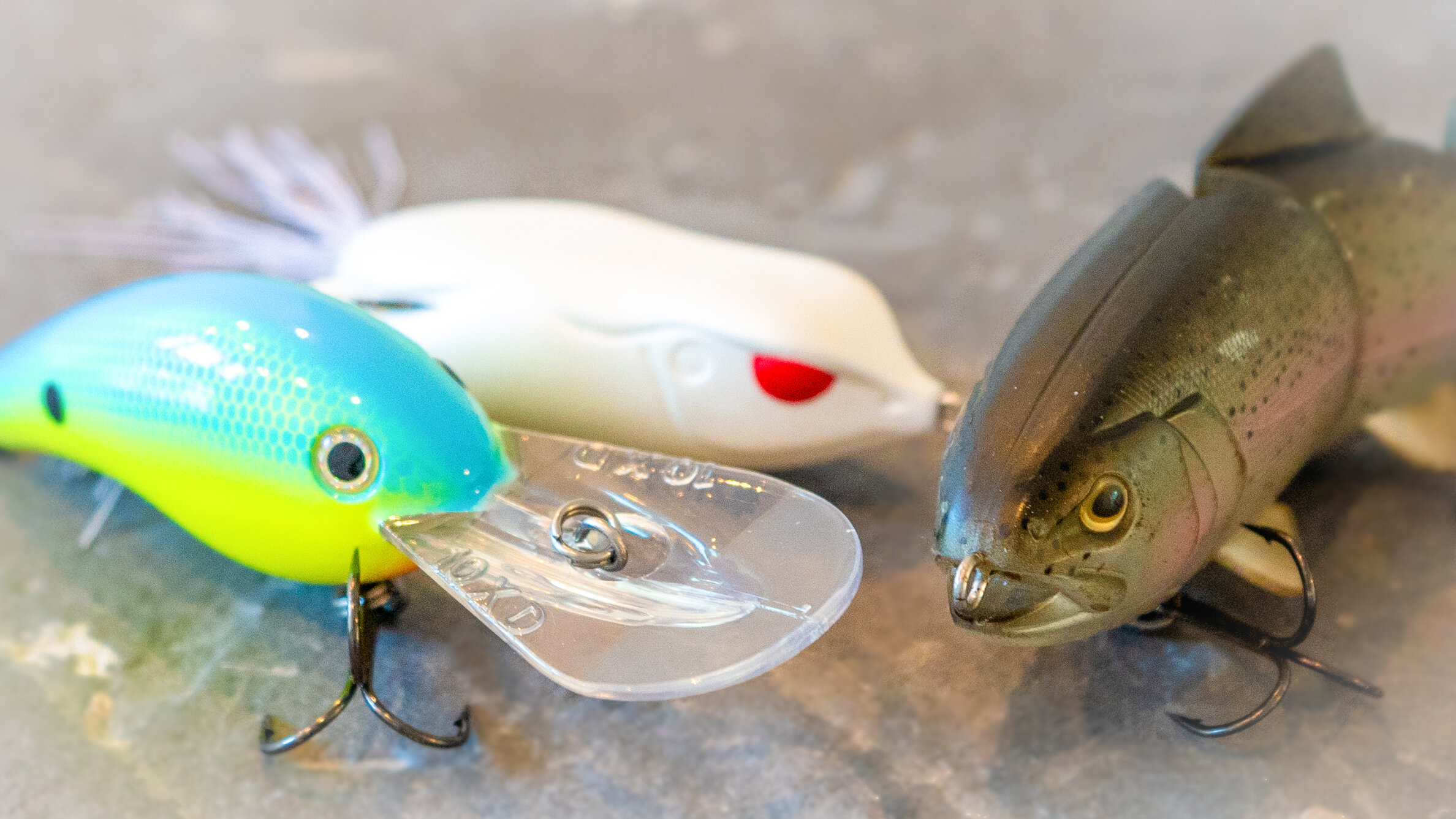 Summer Night Fishing: Everything You Need To Know To Catch Bass At