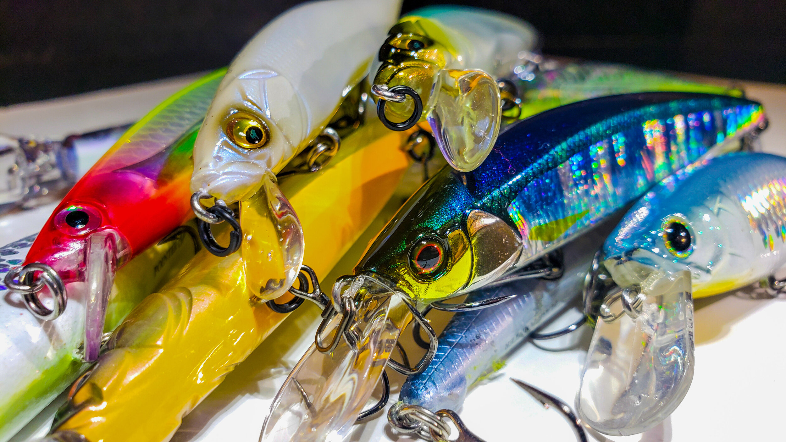 Fall Jerkbait Fishing! Everything You Need To Know! — Tactical Bassin' -  Bass Fishing Blog