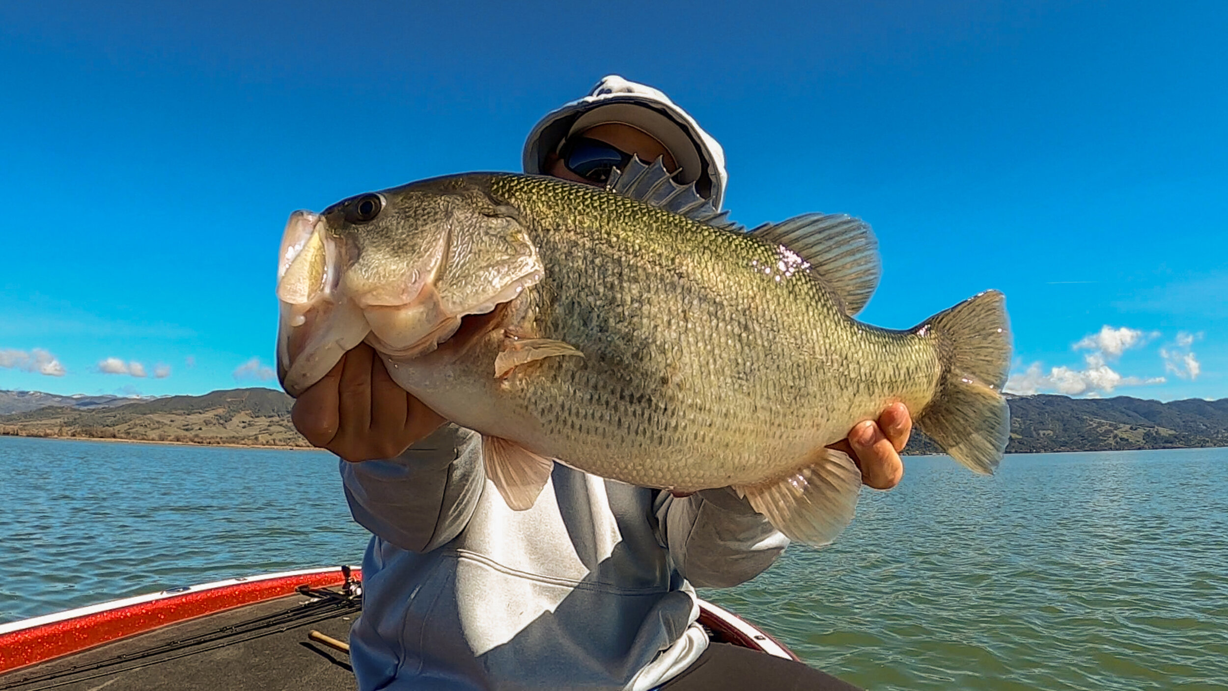 We're Back!! Clearlake Bass Fishing With A-Rigs And Lipless