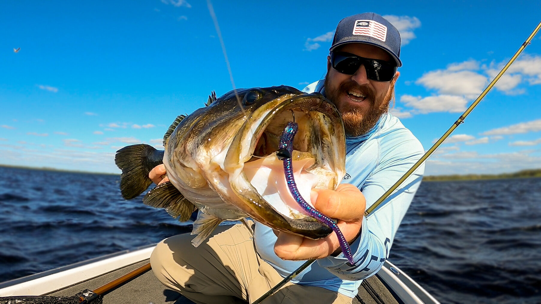 Shaky Head Worms For BIG Bass!! Post Spawn Bass Fishing Madness! — Tactical  Bassin' - Bass Fishing Blog