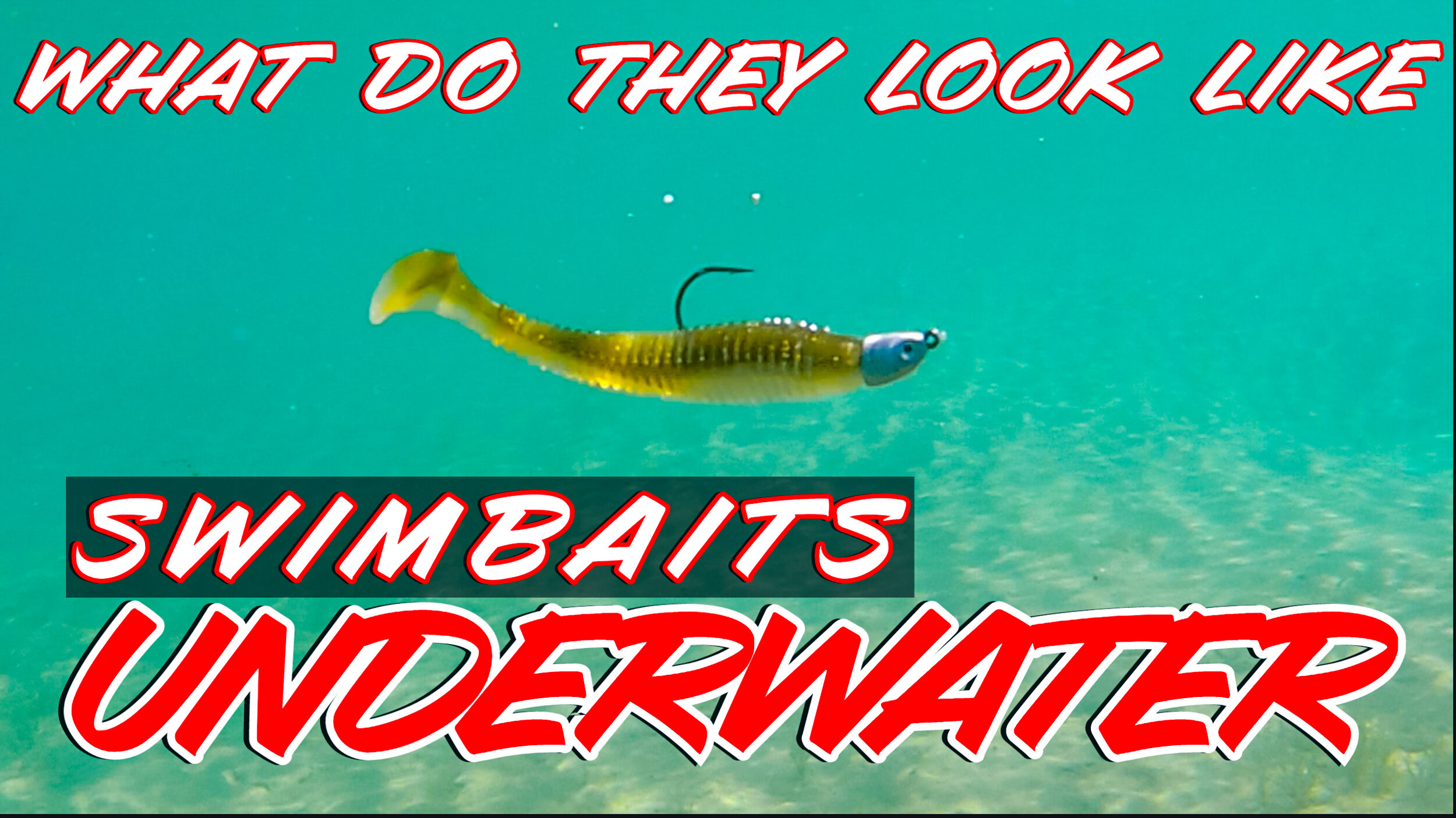 Underwater Swimbait Footage! Best Swimbaits And Paddletails