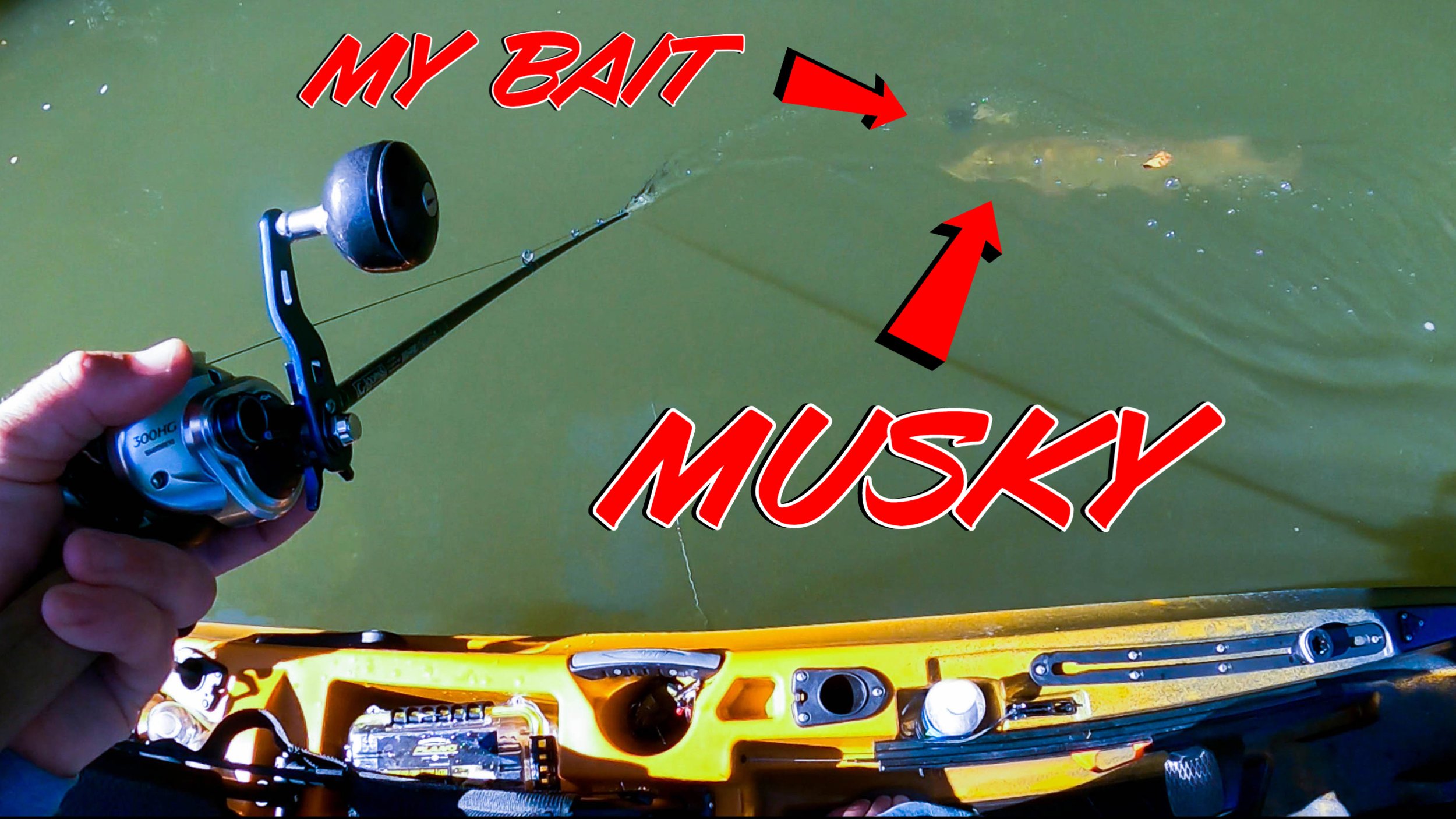 BIG Baits For Shallow River MUSKY! Southern Muskie Fishing