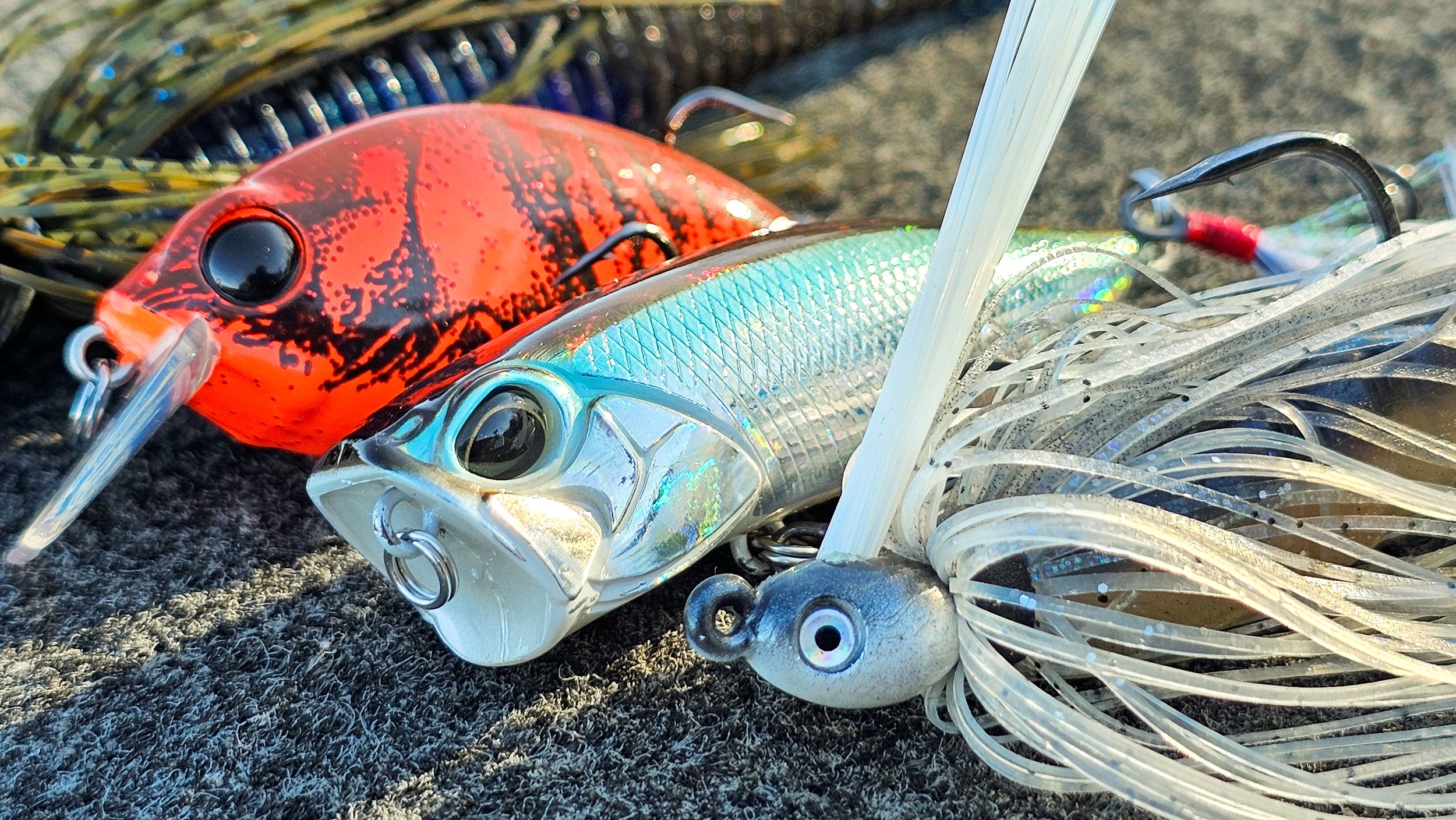 Top 5 Baits For November Bass Fishing! — Tactical Bassin' - Bass Fishing  Blog