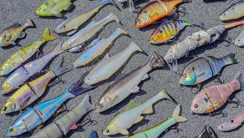 Swimbait Fishing – Full Seminar For Beginners And Advanced Anglers! —  Tactical Bassin' - Bass Fishing Blog