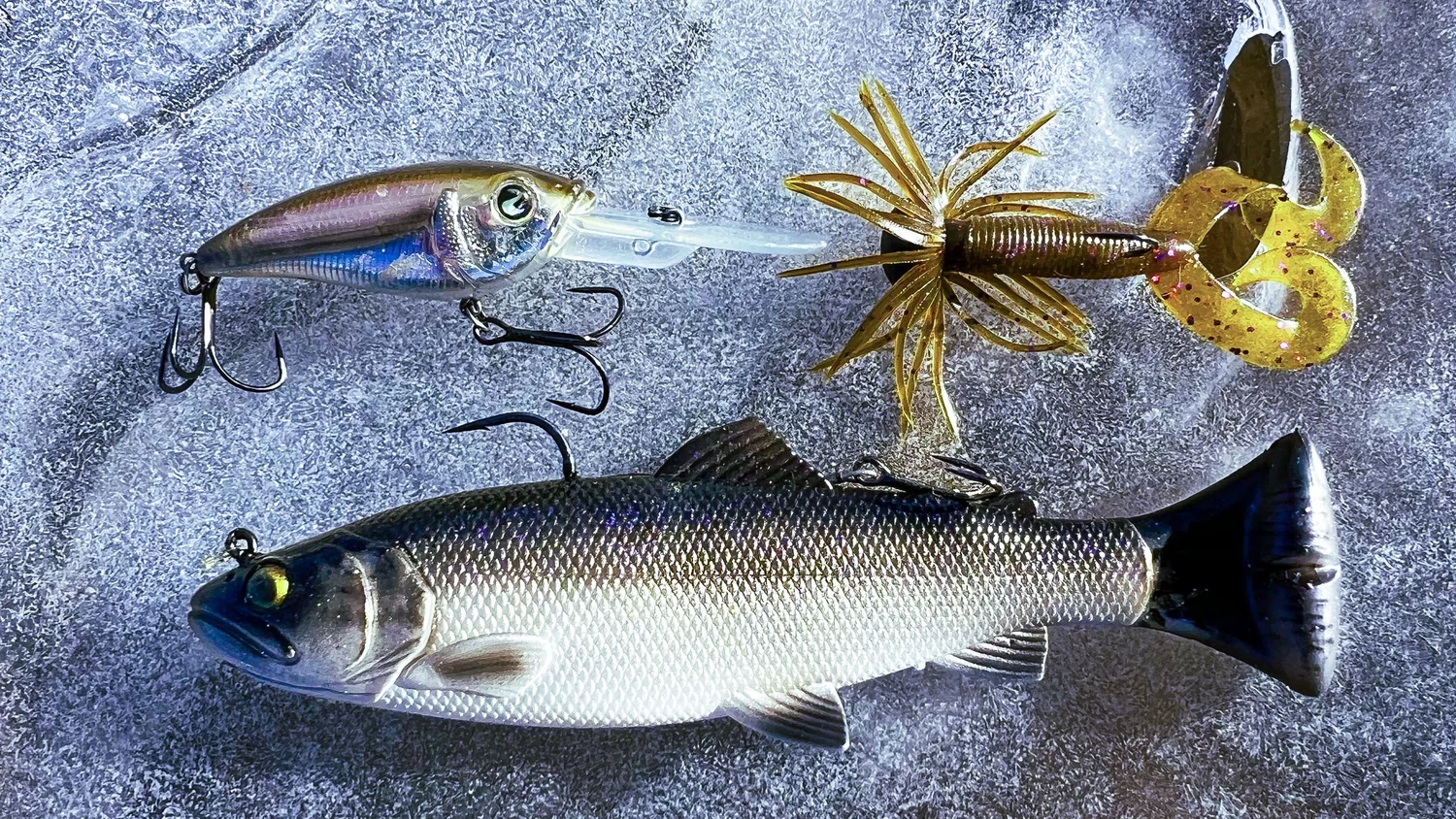 Top 5 Baits for January Bass Fishing! — Tactical Bassin' Bass Fishing Blog