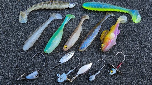 Smallmouth Bass — Tactical Bassin' - Bass Fishing Blog