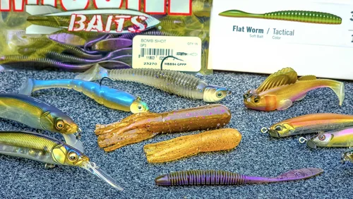 bea fish hooks human Bea Goldfishberg (@DramaticFishBea) / Posts / X