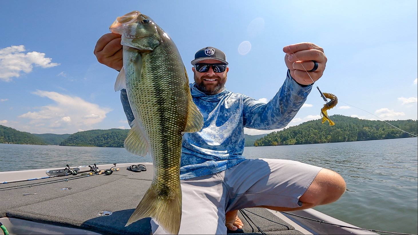 Best Baits To Free Rig For Spring Bass! — Tactical Bassin' - Bass Fishing  Blog