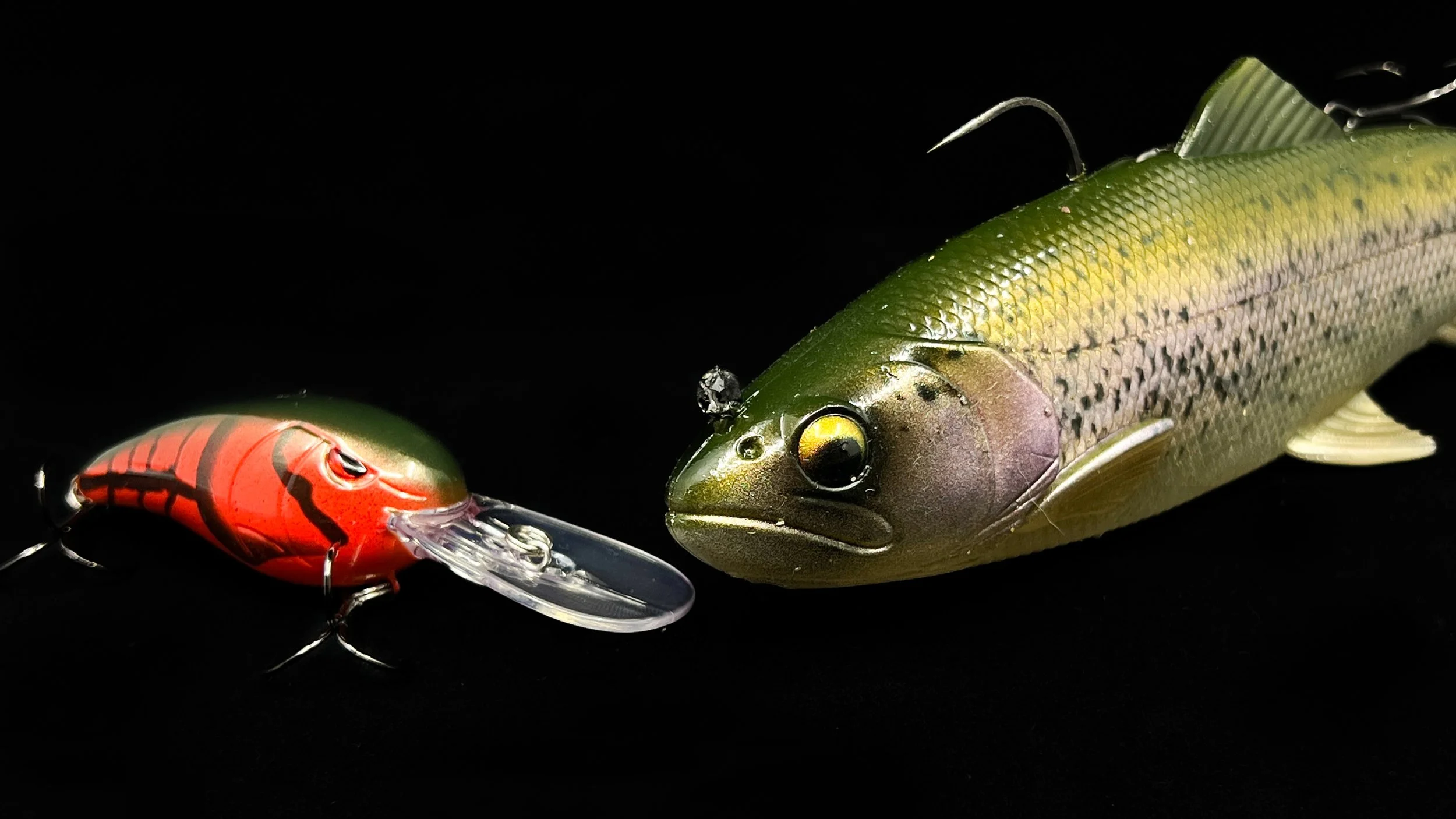 Top 5 Baits For December Bass Fishing! — Tactical Bassin' Bass