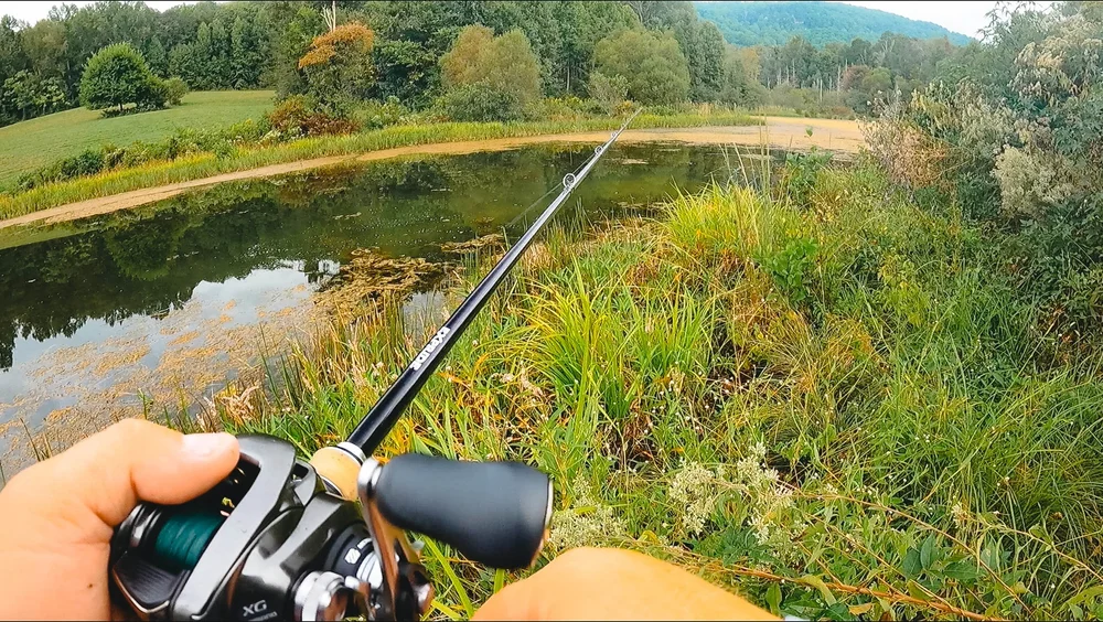 The Best Baits For Summer Pond Fishing! ( And Bank Fishing ) — Tactical