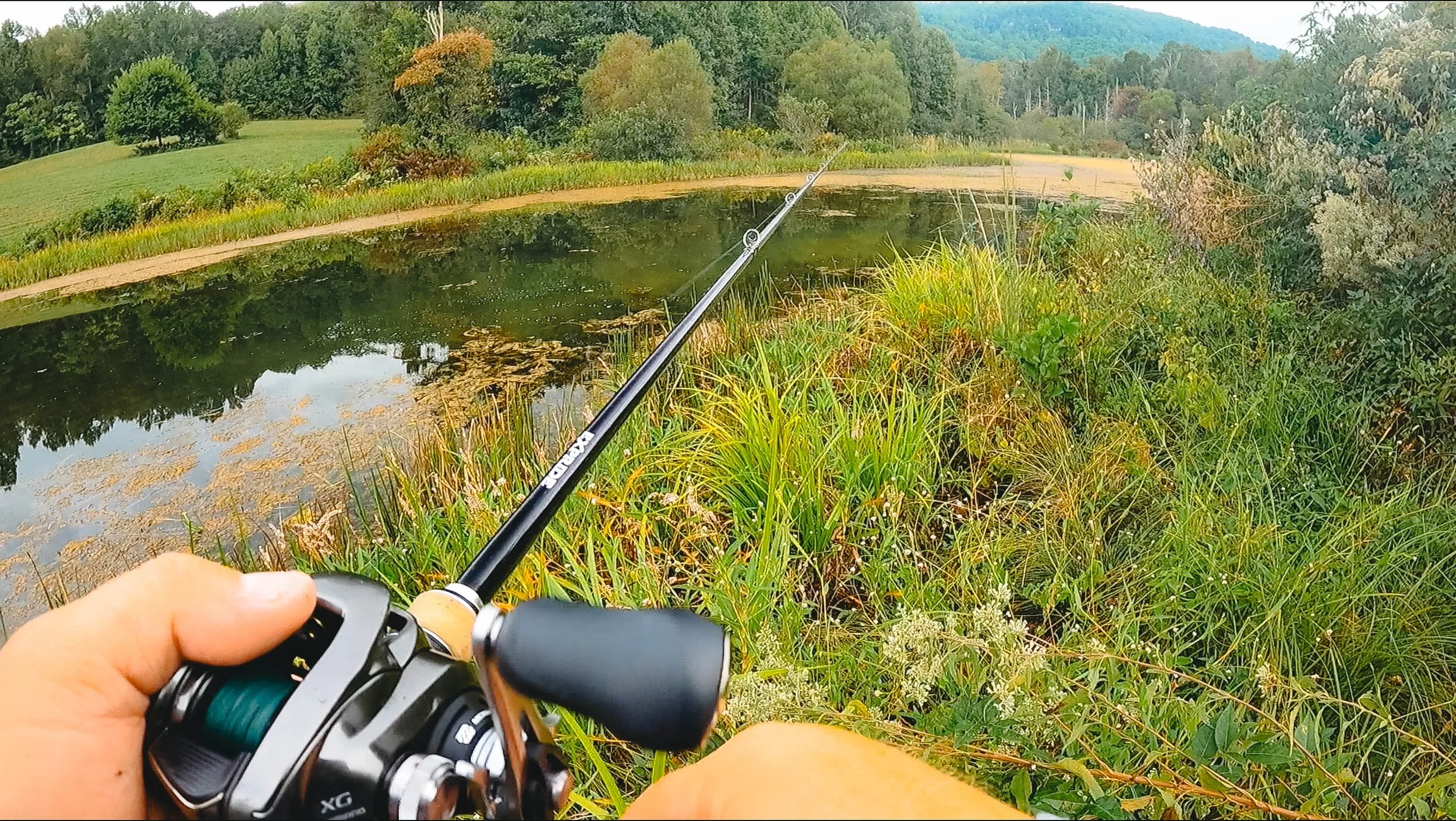 The Best Baits For Summer Pond Fishing! ( And Bank Fishing ) — Tactical