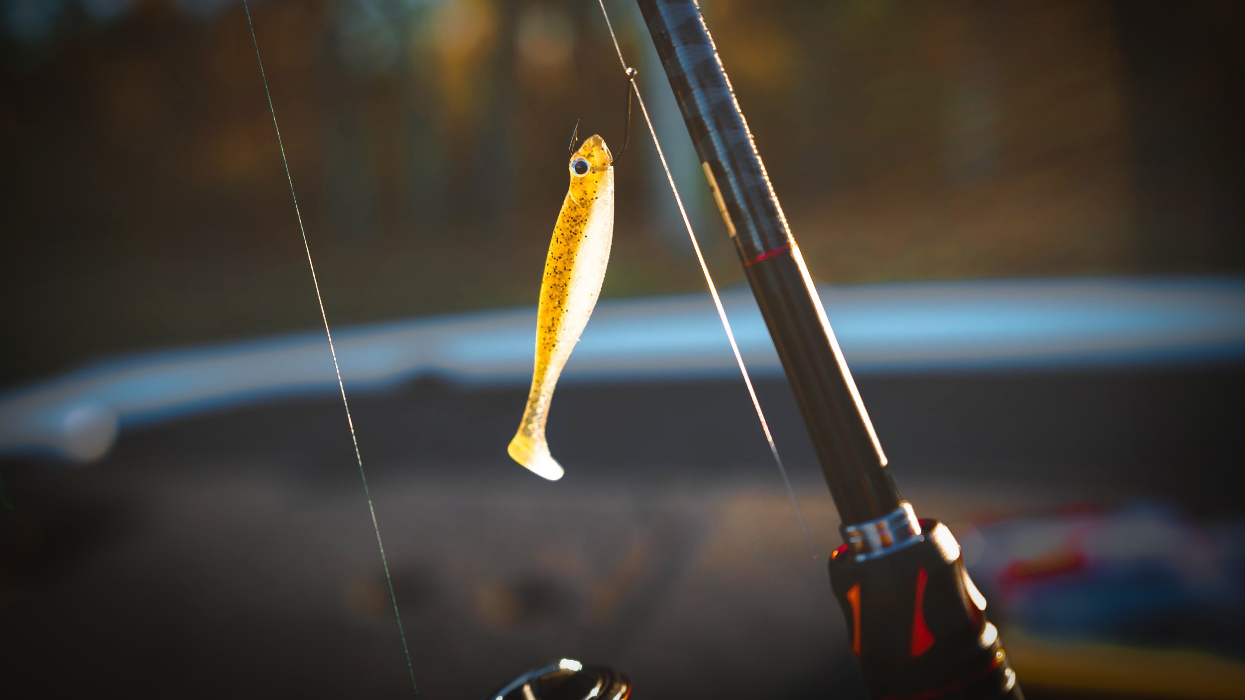 BUYER'S GUIDE: DROPSHOT FISHING - BAITS, TACKLE, RODS — Tactical
