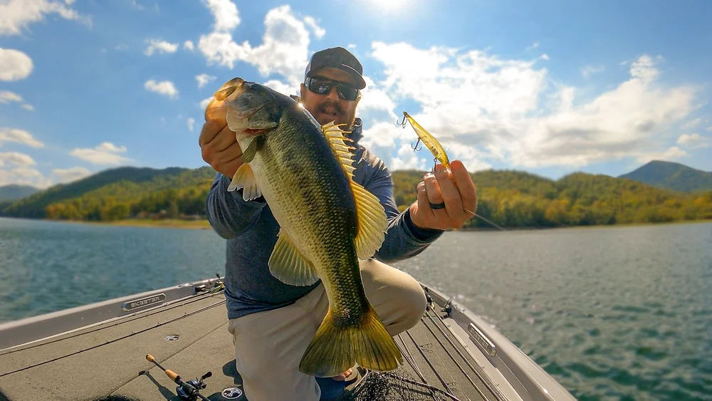 4 Baits That Catch Fish When Bass Won't Bite! — Tactical Bassin' Bass