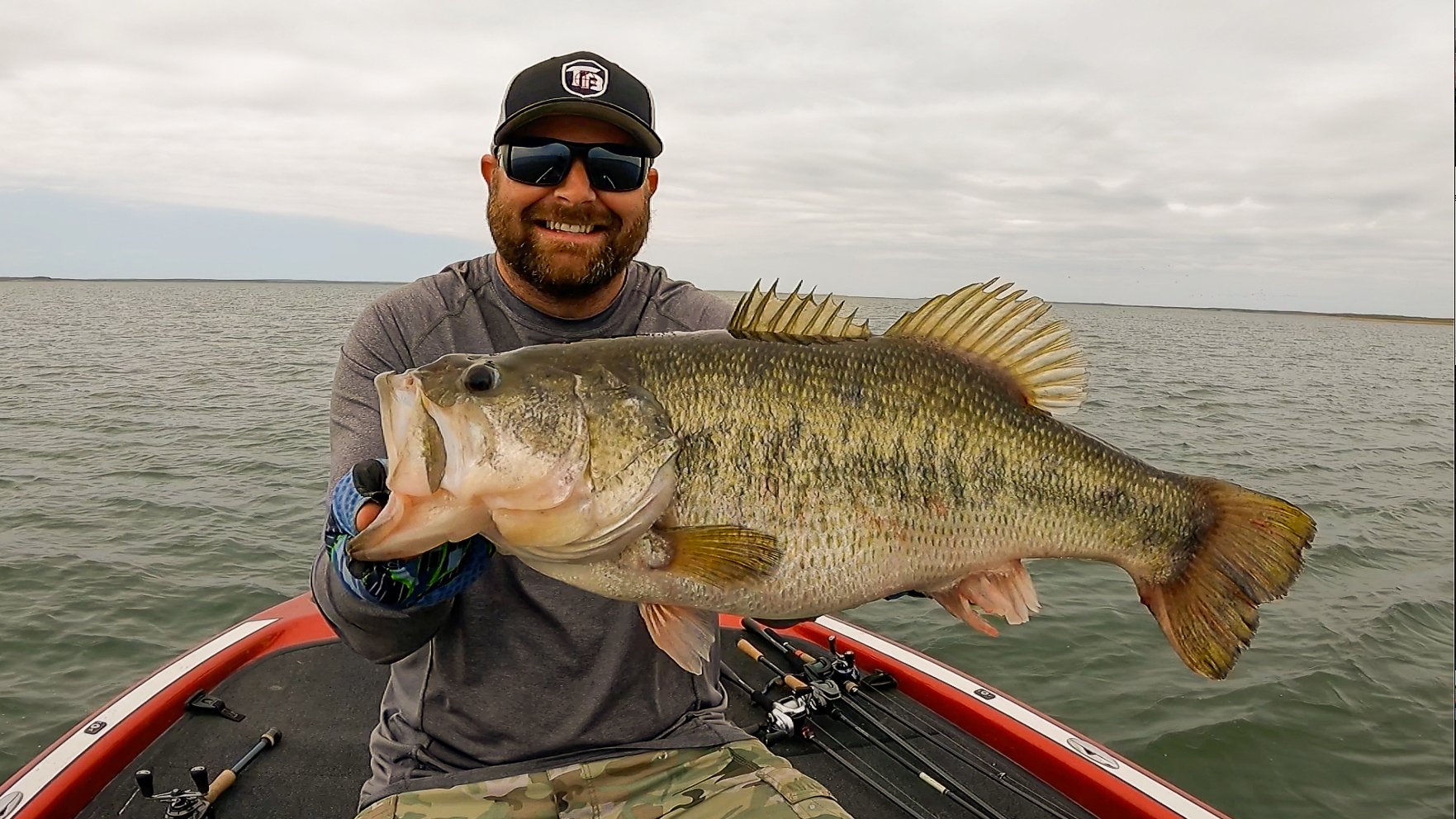 Big Worms for Summer Bass Fishing! (Texas Rig, Carolina Rig, Shaky