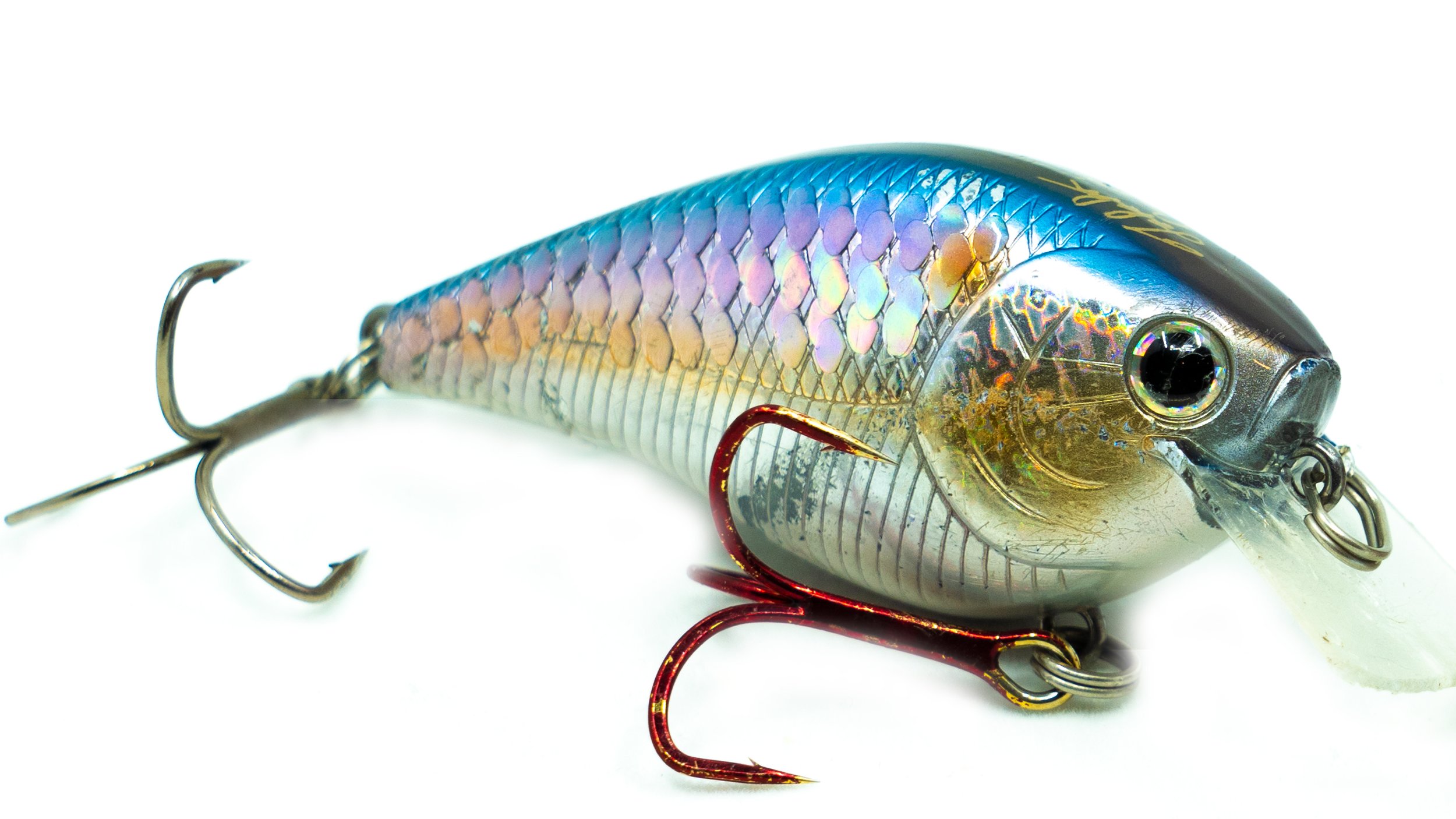 Summer Crankbait Fishing - Everything You Need To Know! — Tactical