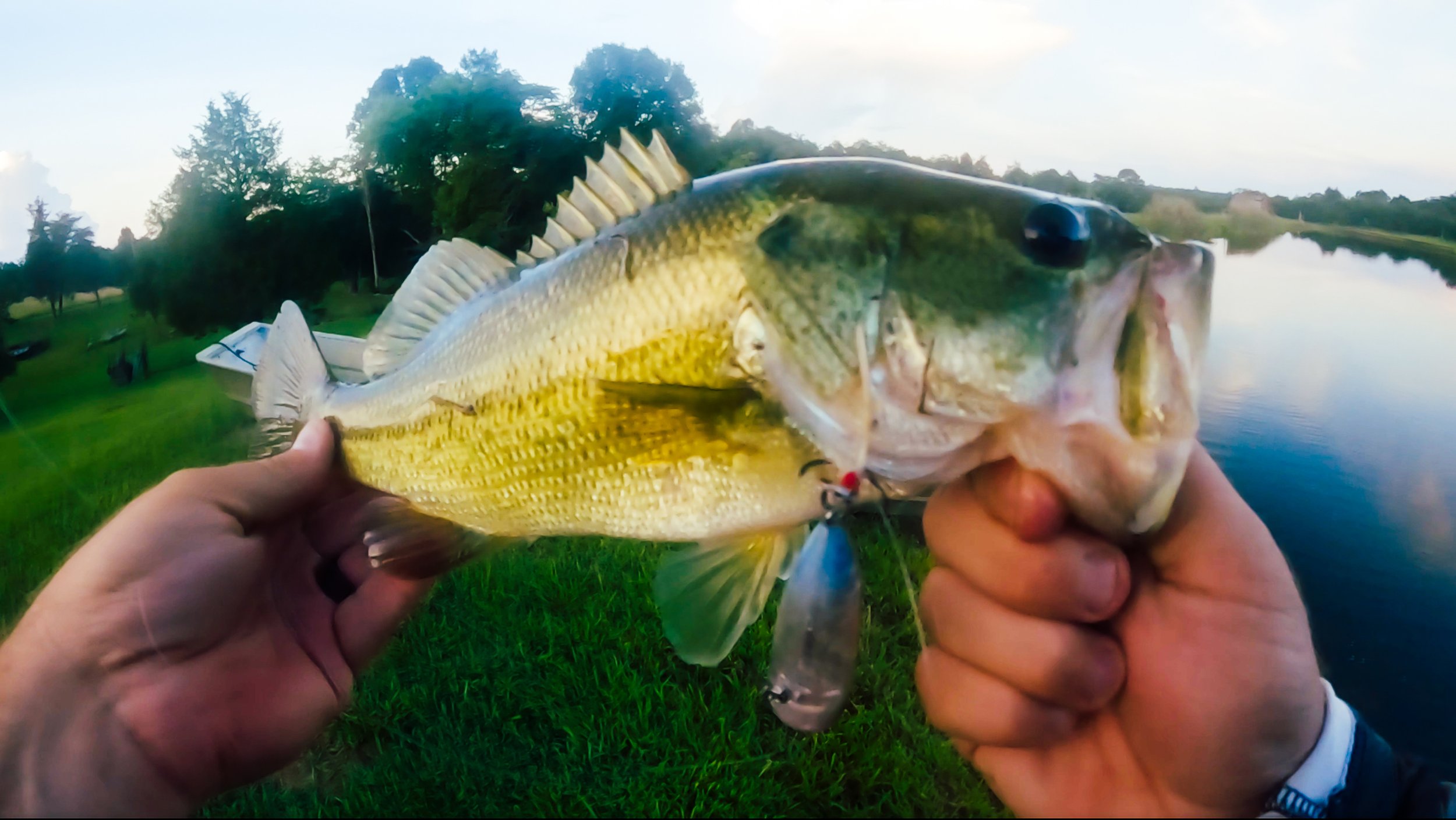 Fishing A New Pond: Where To Start — Tactical Bassin' - Bass Fishing Blog