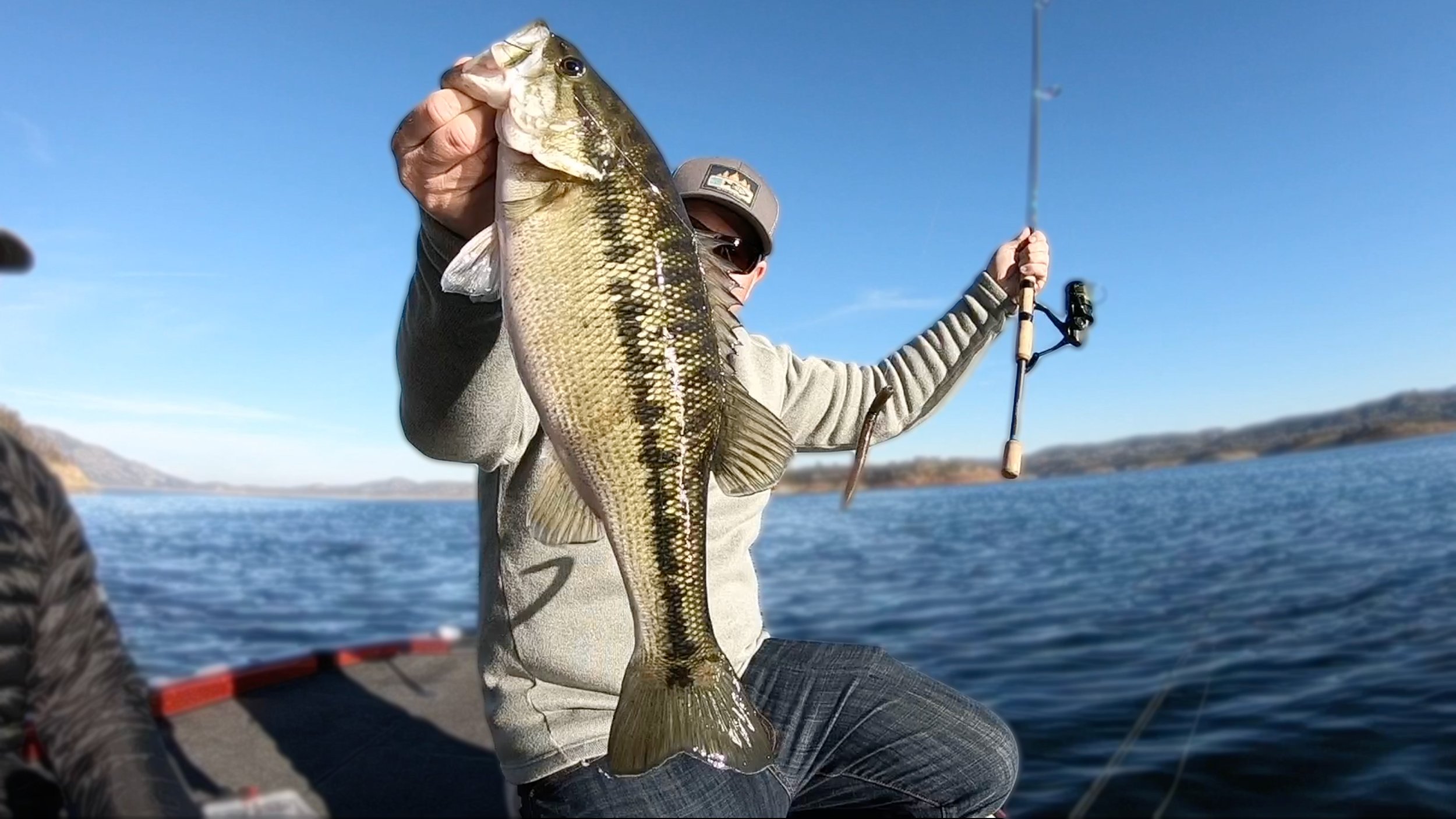How To Rig A Senko: Unique Tricks From Beginner to Advanced — Tactical  Bassin' - Bass Fishing Blog