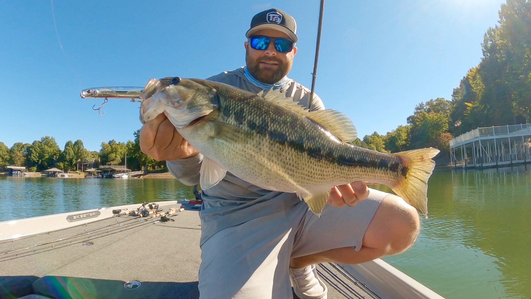 Senko Fishing Tricks! Beginner And Advanced! — Tactical Bassin' - Bass  Fishing Blog