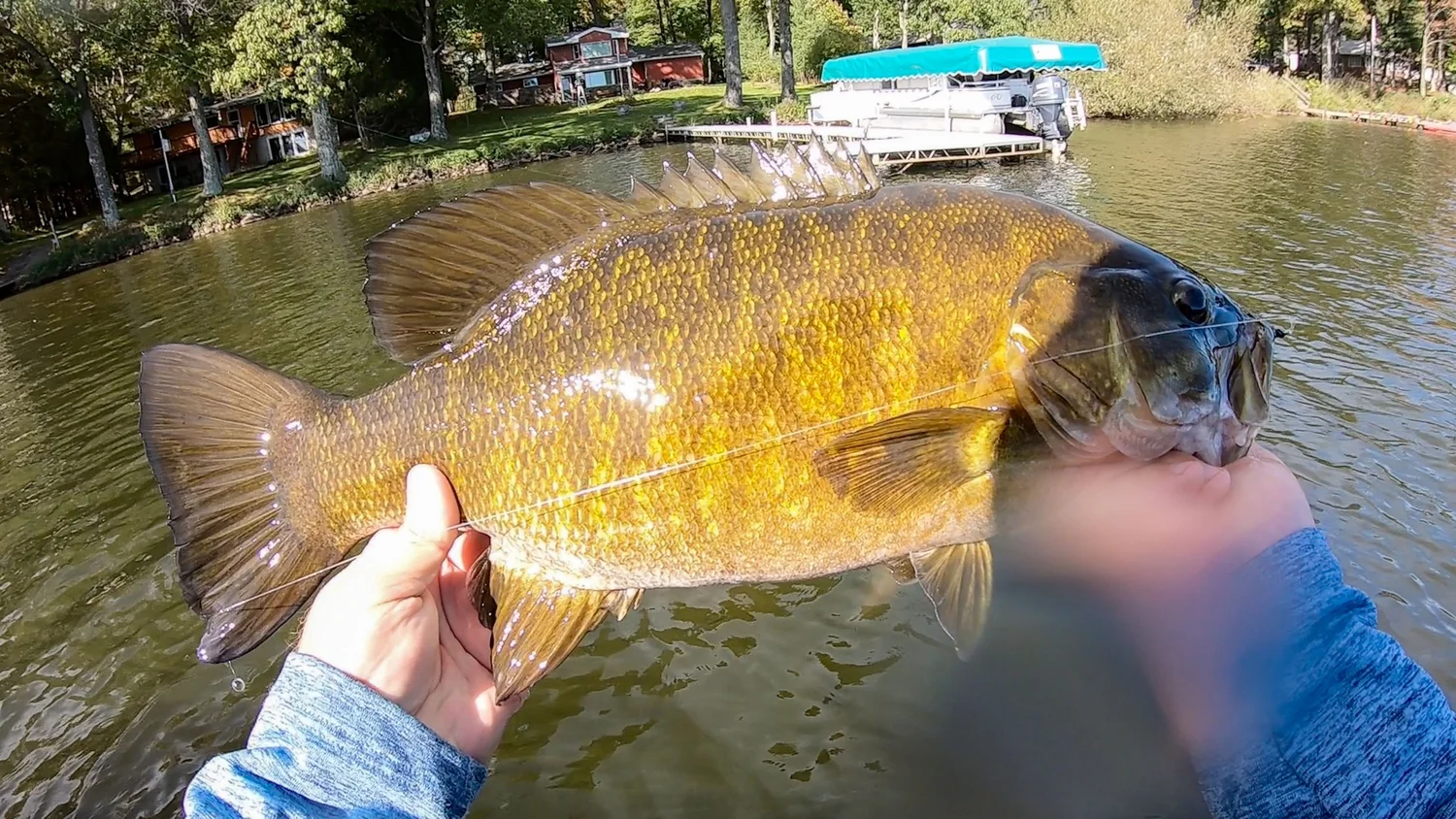 3 Bass Fishing Rigs You Need To Know! ** UNDERWATER LURE FOOTAGE ...