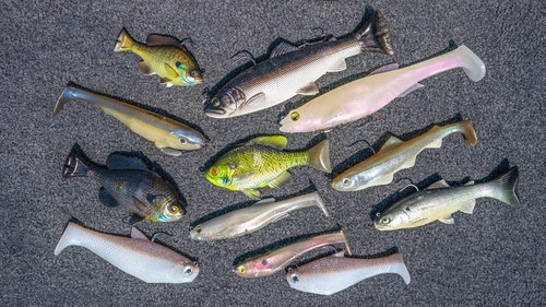 Swimbaits — Tactical Bassin' - Bass Fishing Blog