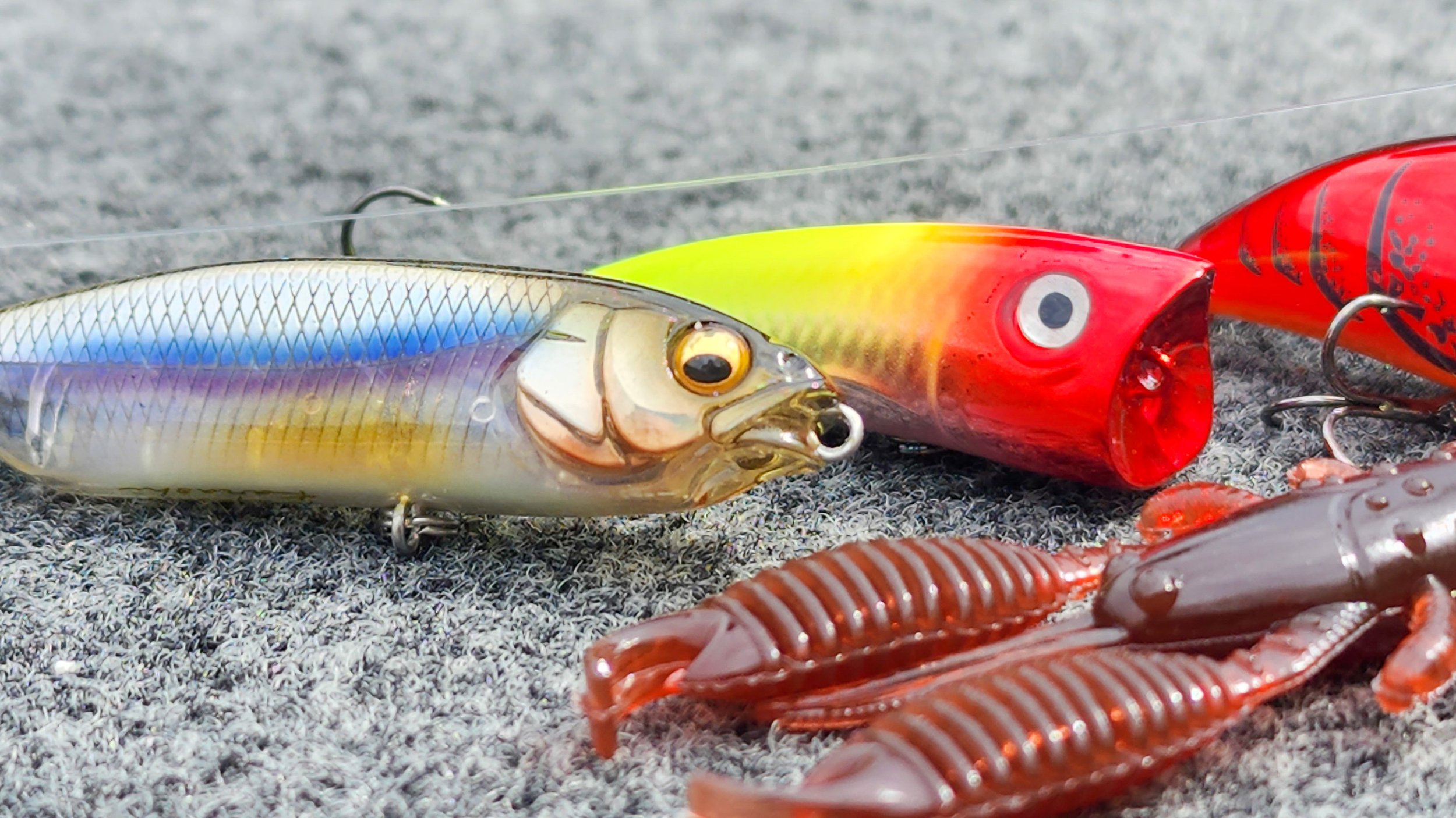 Bait Finesse Fishing ( BFS ) For Bass! How Its Actually Done! — Tactical  Bassin' - Bass Fishing Blog