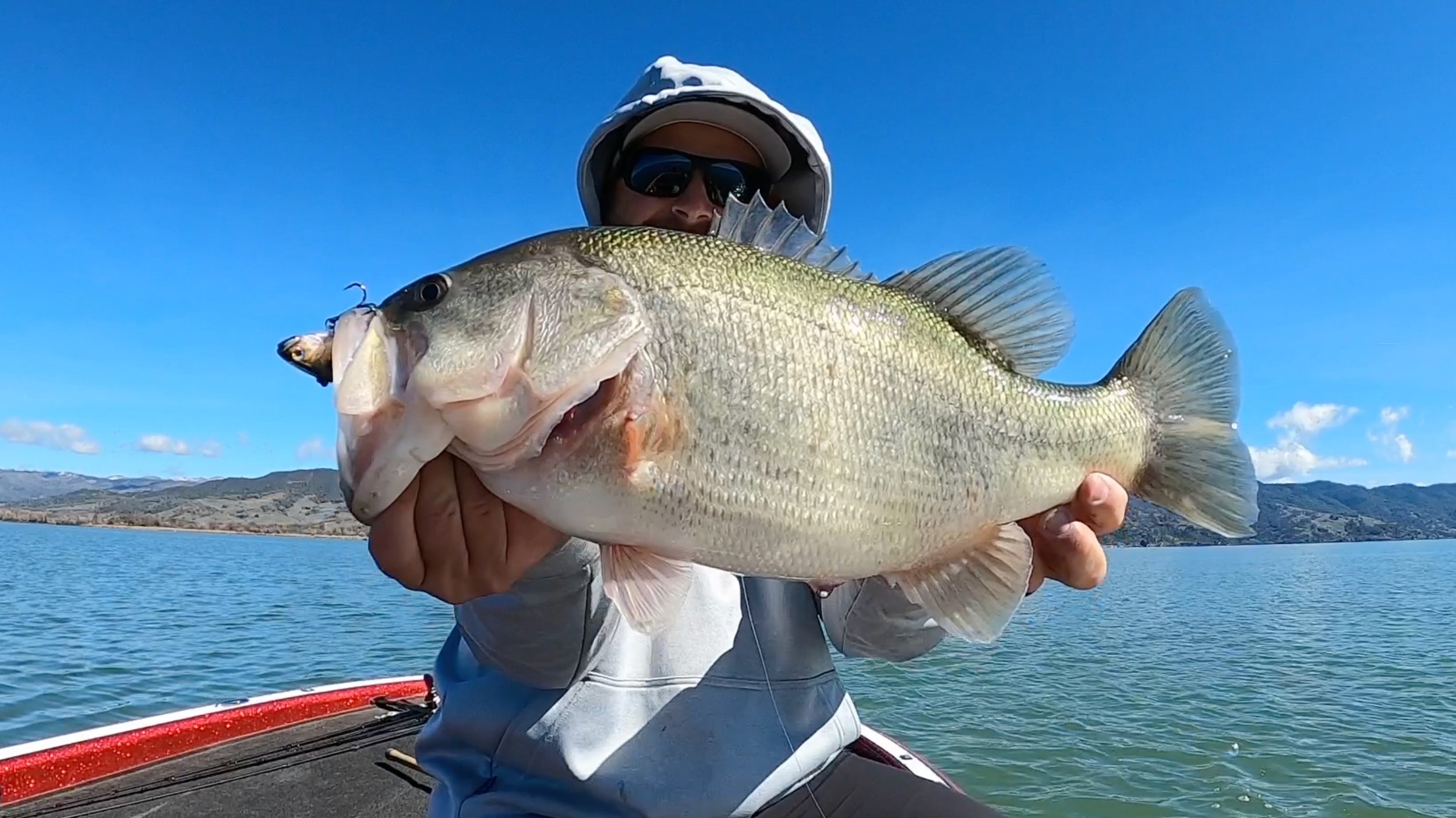 Lipless Crankbait Tricks + Blade Bait Tips For Spring Bass Fishing