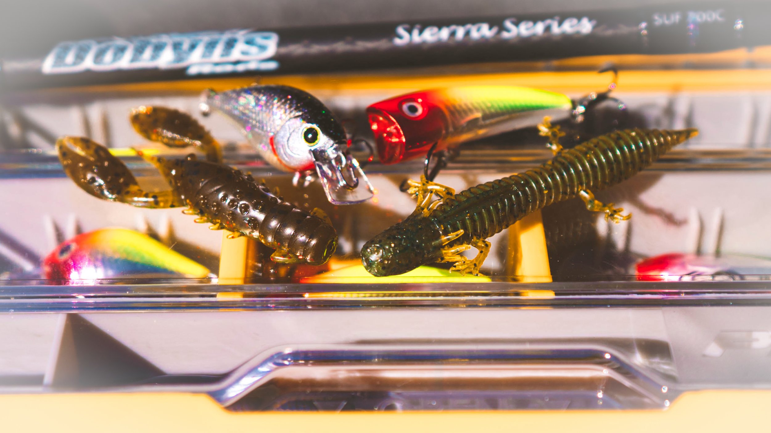 BUYER'S GUIDE: NED RIG - BAITS, HOOKS, AND RODS FOR NED RIGGING