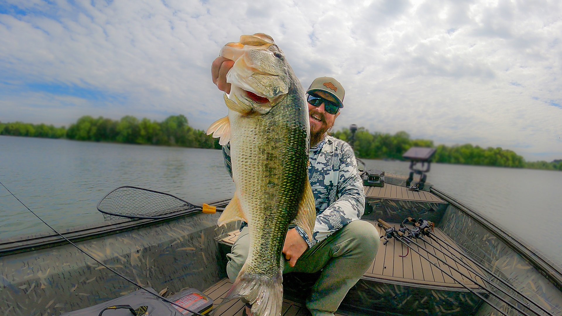 How to catch big bass on the Spro KGB Chad shad 