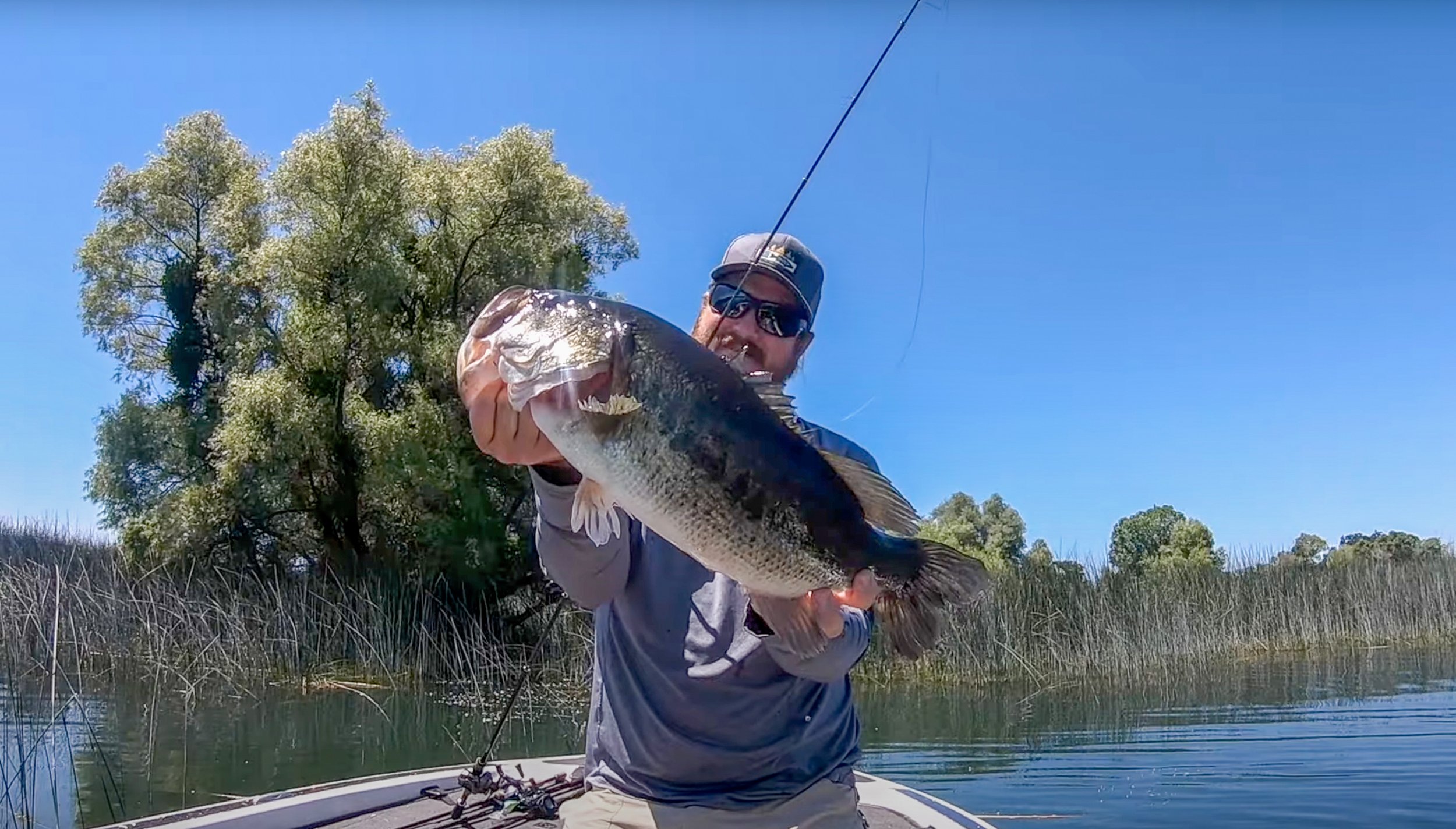 Summer Bass Fishing: Where Bass Go And How To Catch Them
