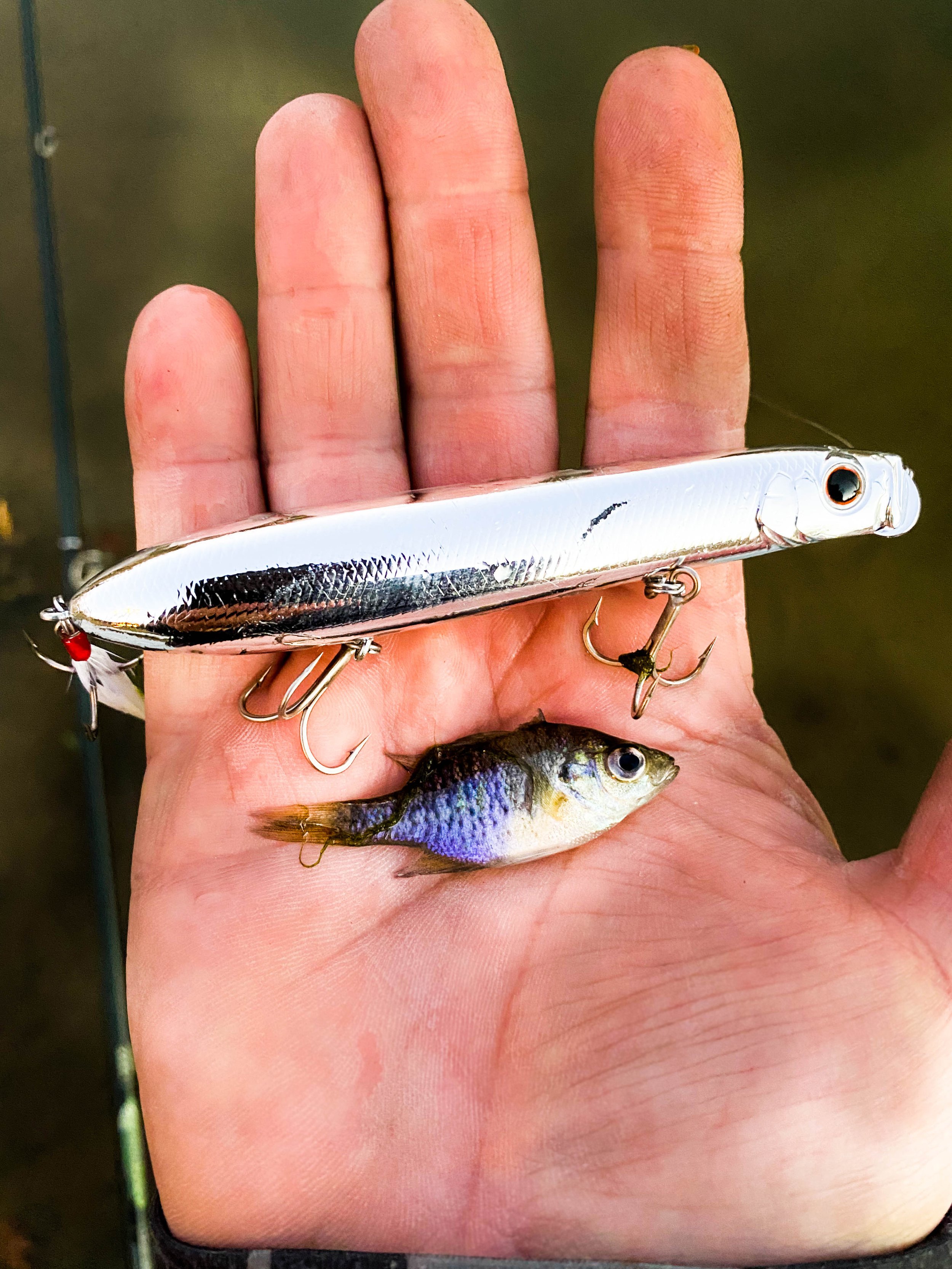 Under Spins, Tail Spins, And Other Cold Water Fishing Tricks