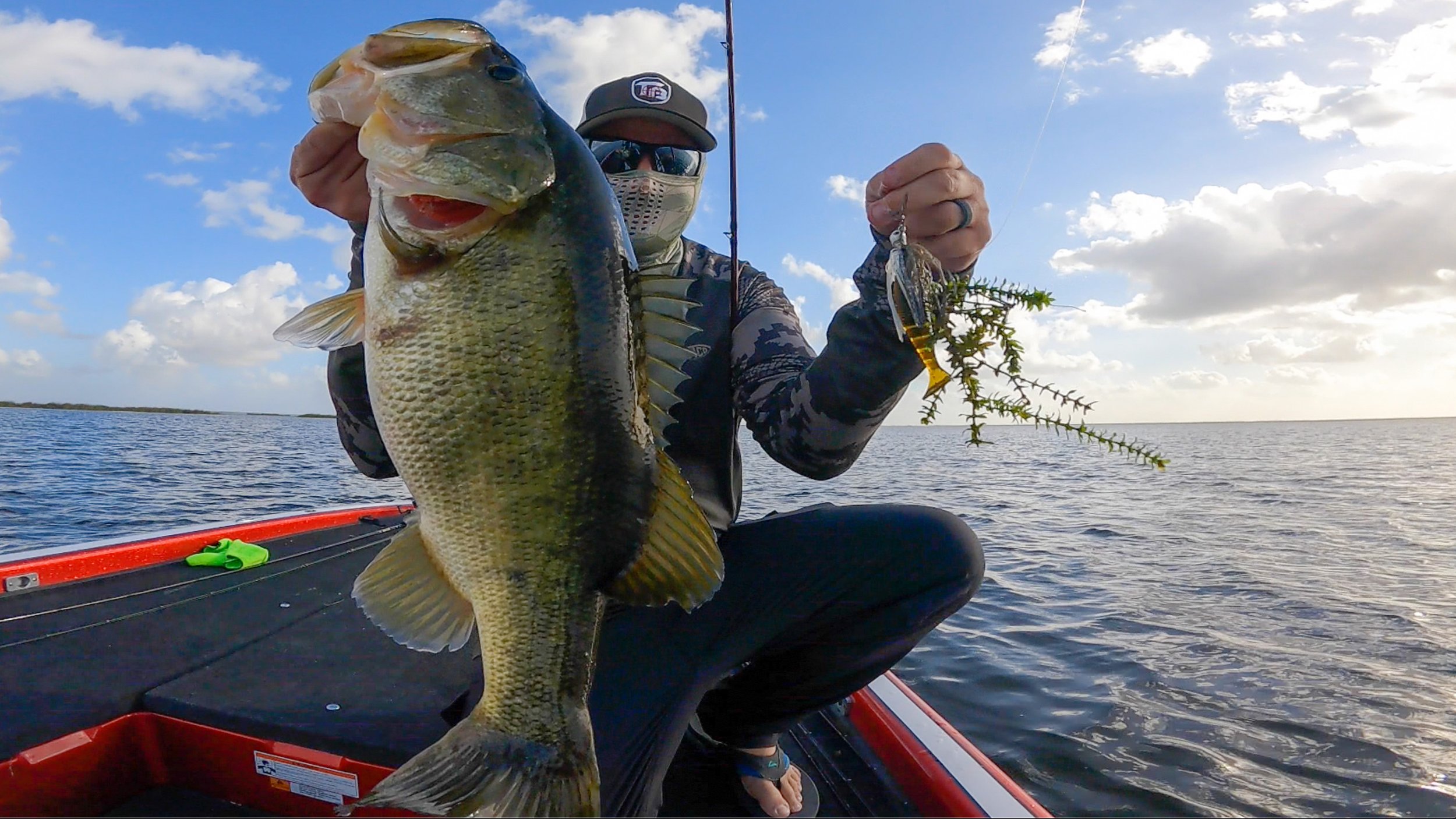 Chatterbait And Swim Jig Tricks For Summer Bass! — Tactical Bassin