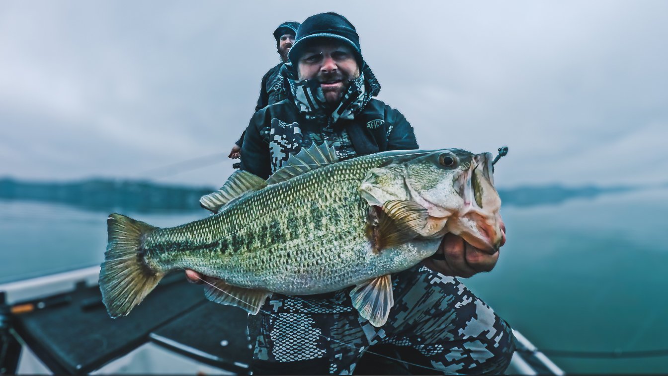 Targeting Giant Bass With Swimbaits! ( On The Water ) — Tactical