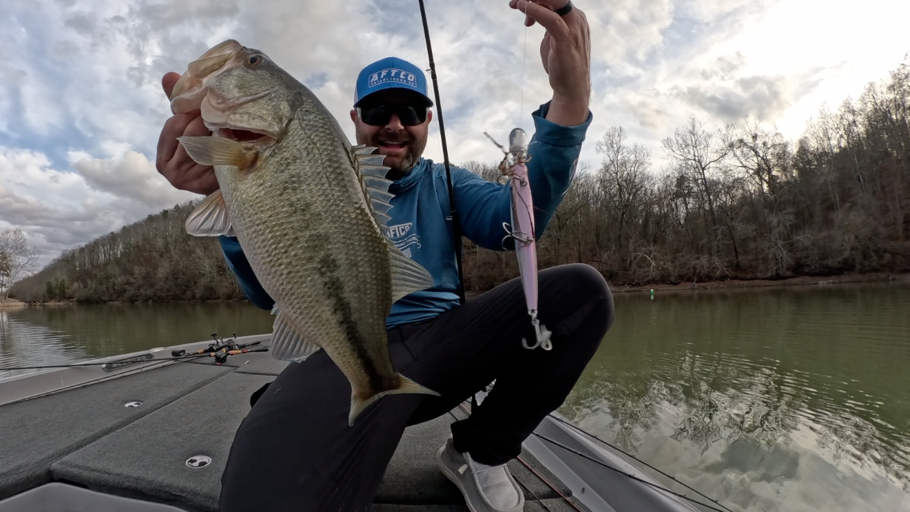 Where Do Bass Go In Early Spring? ( Tips For Beginner And Advanced