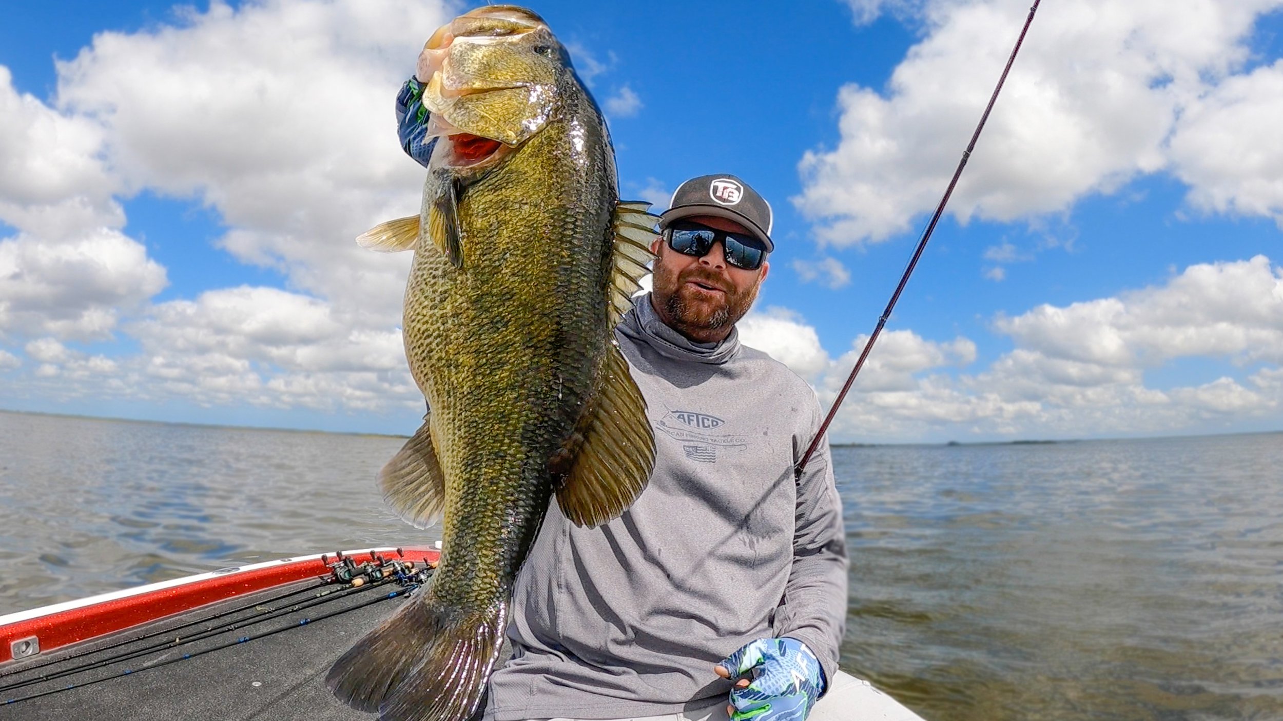 RAW and UNCUT Fishing For BIG Bass! — Tactical Bassin' - Bass Fishing Blog