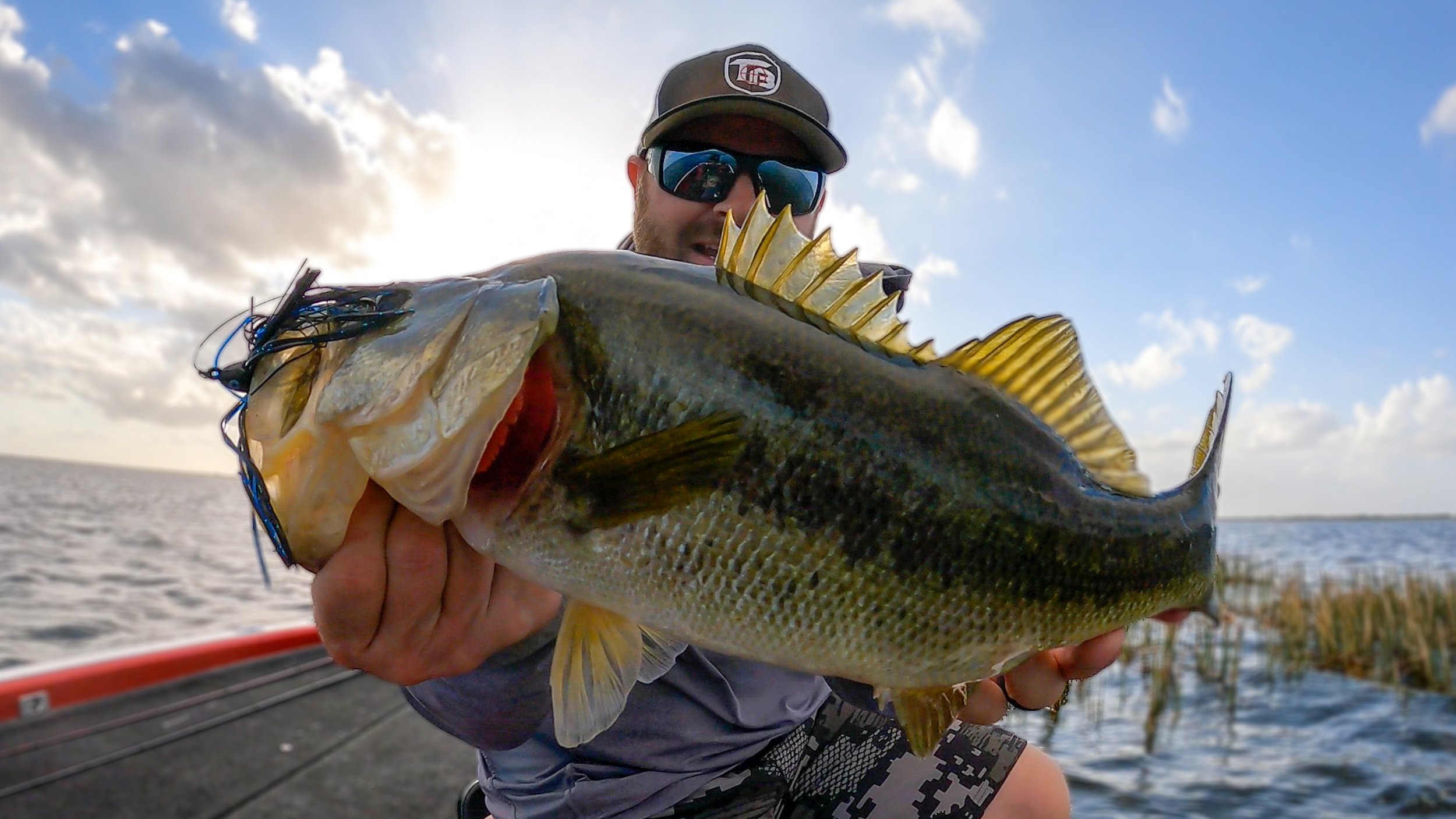 Swim Jig and Chatterbait Tips For Prespawn Bass In The Shallows — Tactical  Bassin' - Bass Fishing Blog
