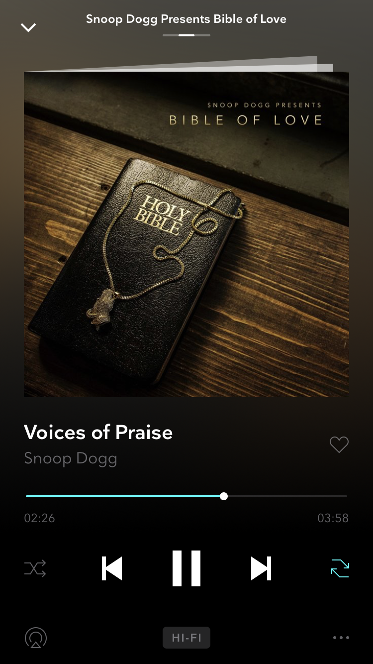 Snoop Dogg Presents The Bible Of Love 