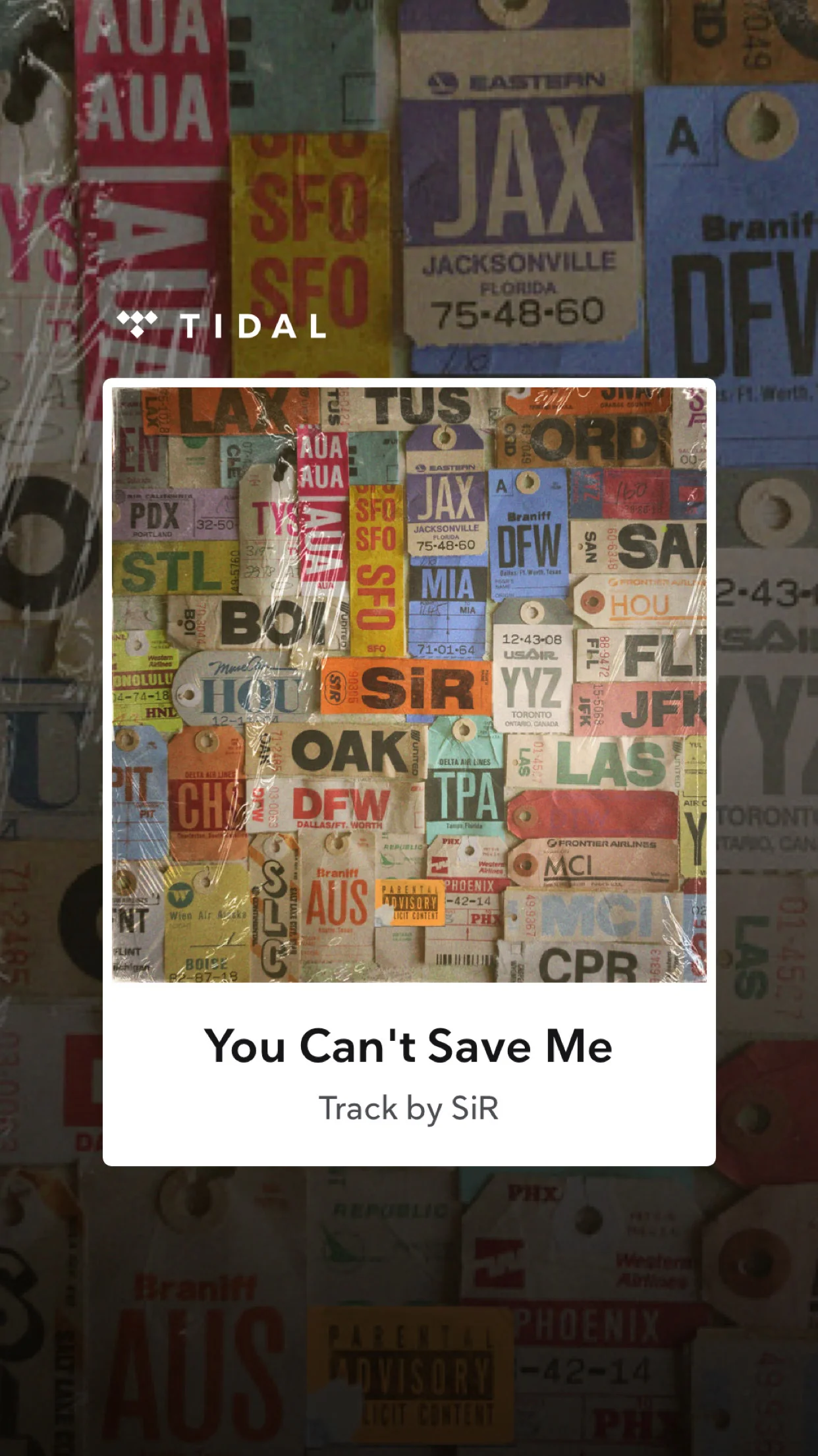 Sir - Chasing Summer