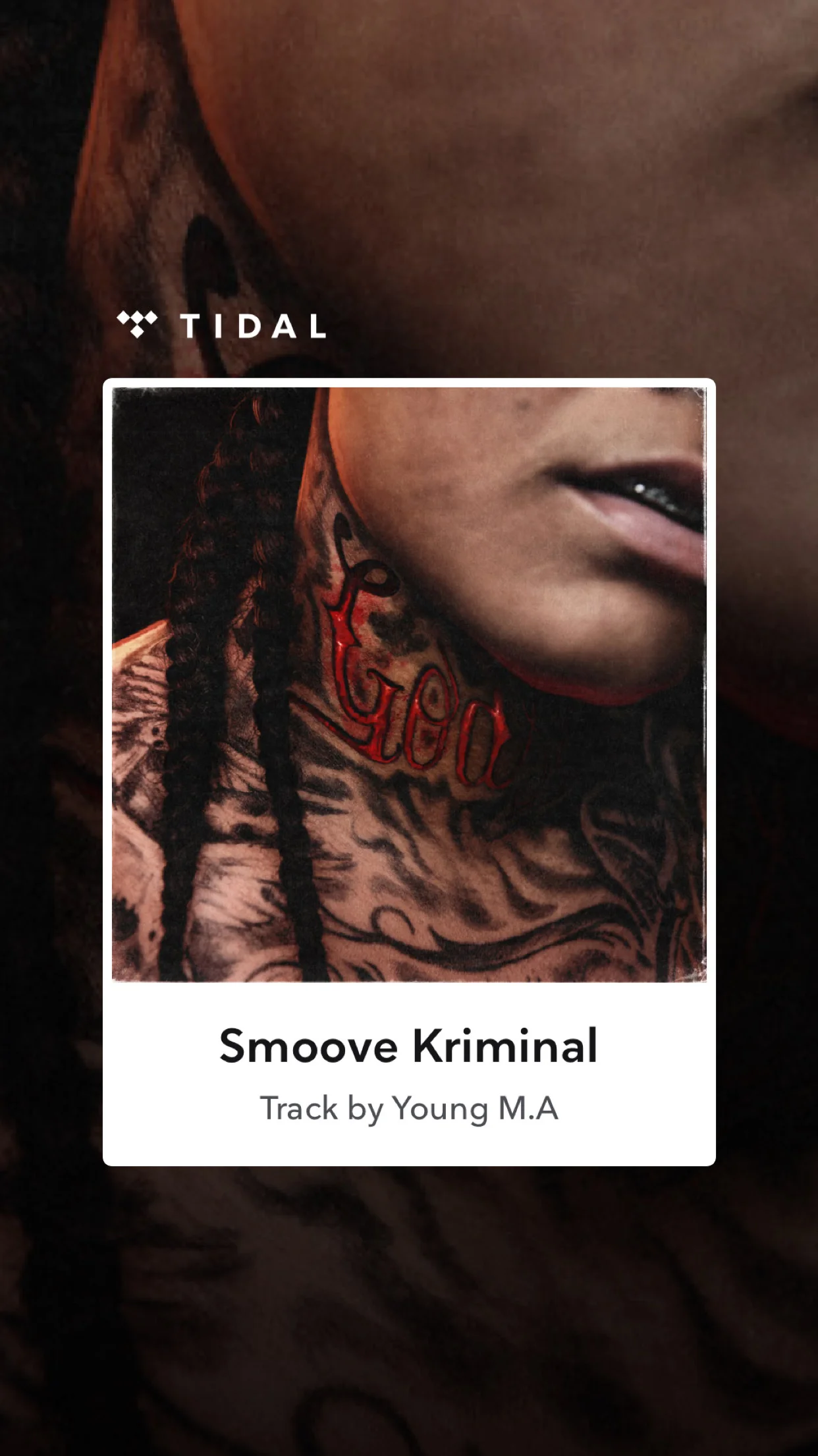 Young M.A. - Herstory In The Making