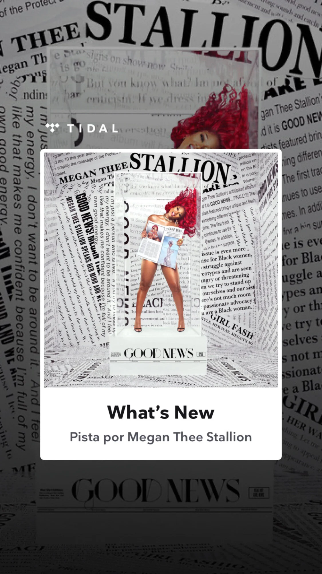Megan Thee Stallion - Good News