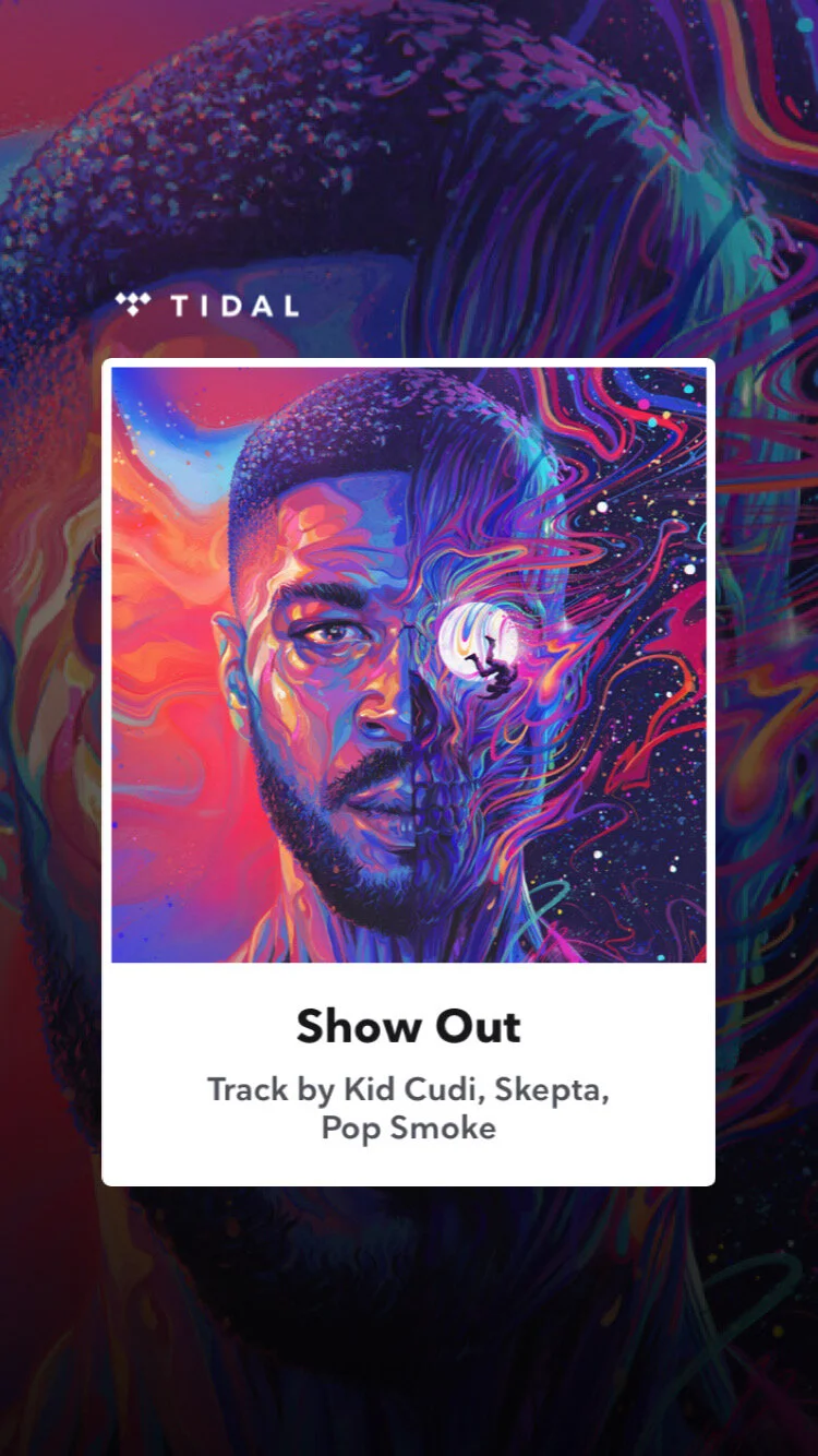 Kid Cudi - Man On The Moon 3.