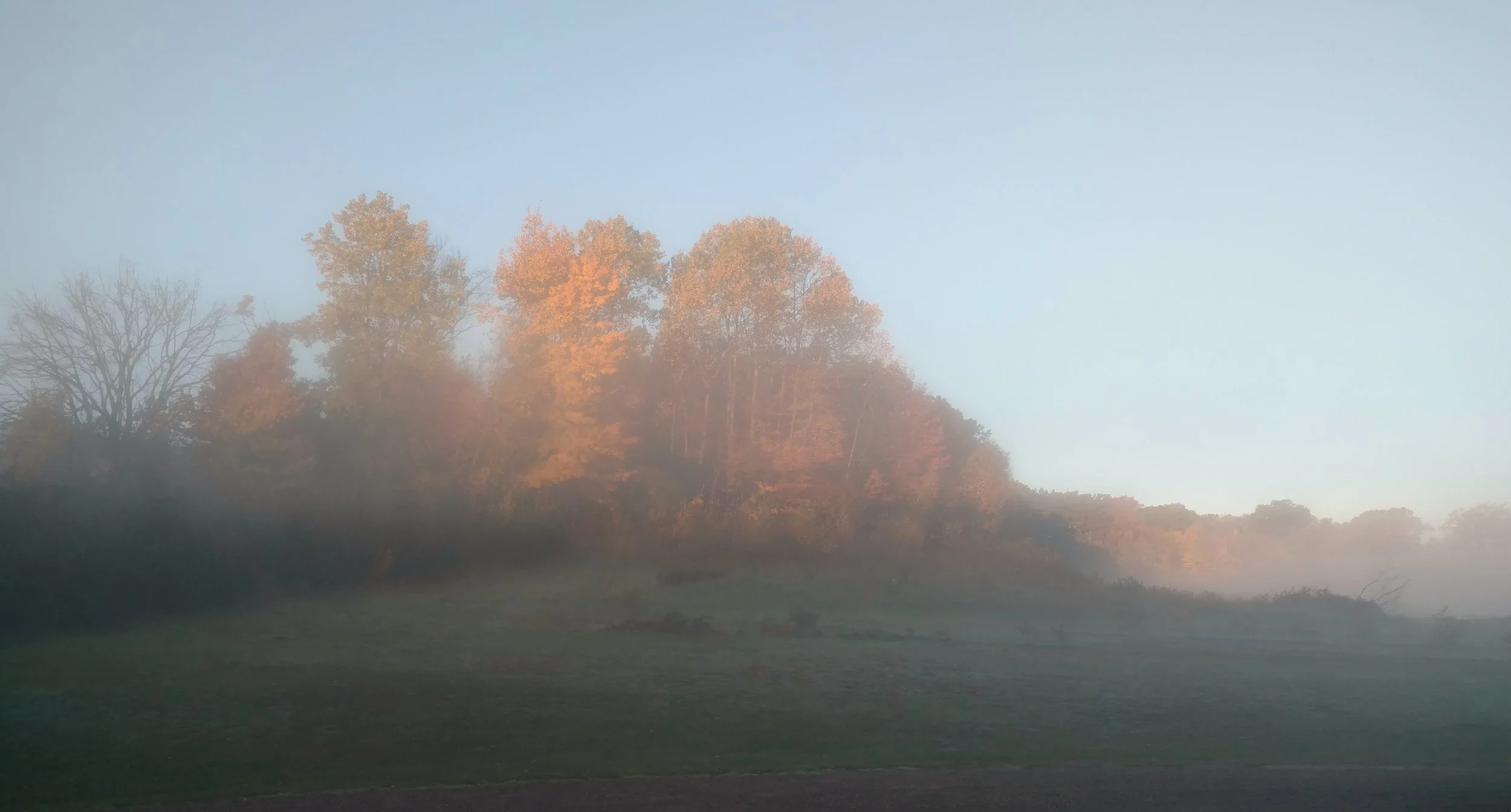 IMG_20161016_074652349.jpg