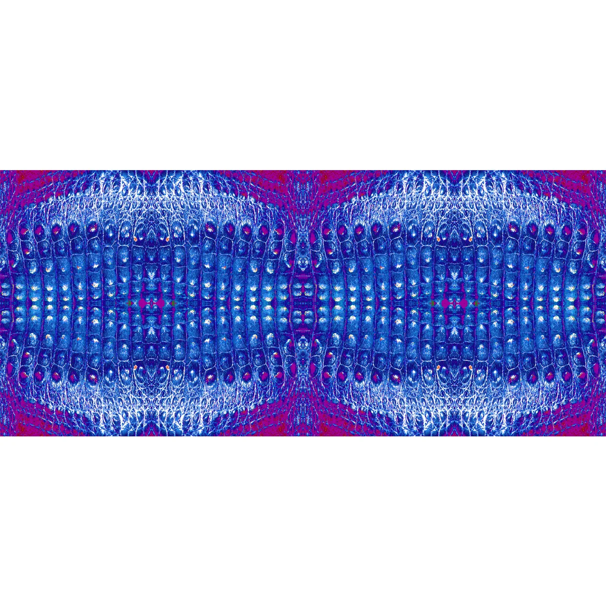 croc 1240x1240 layout.jpg