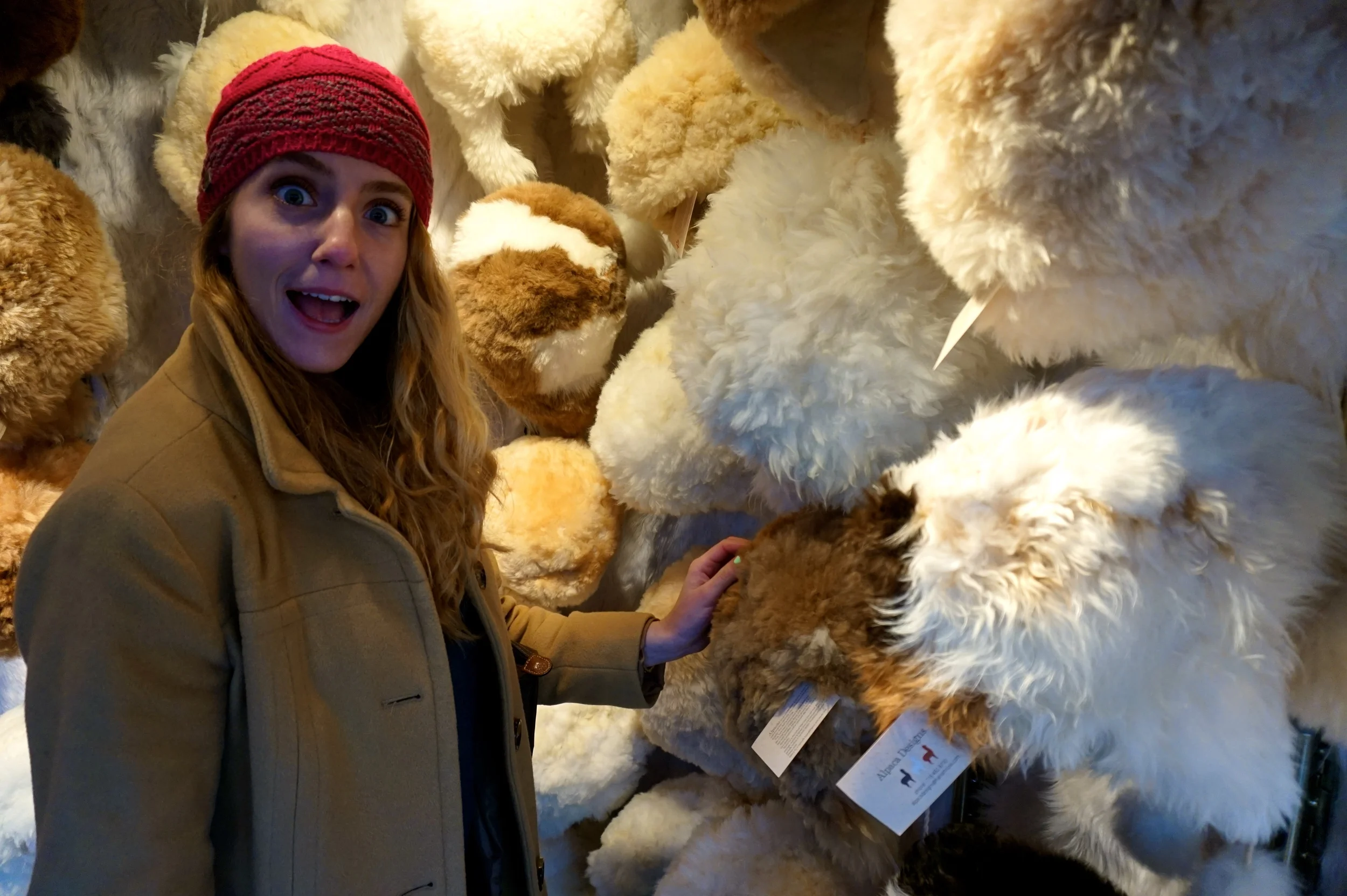 alpacahats.jpg
