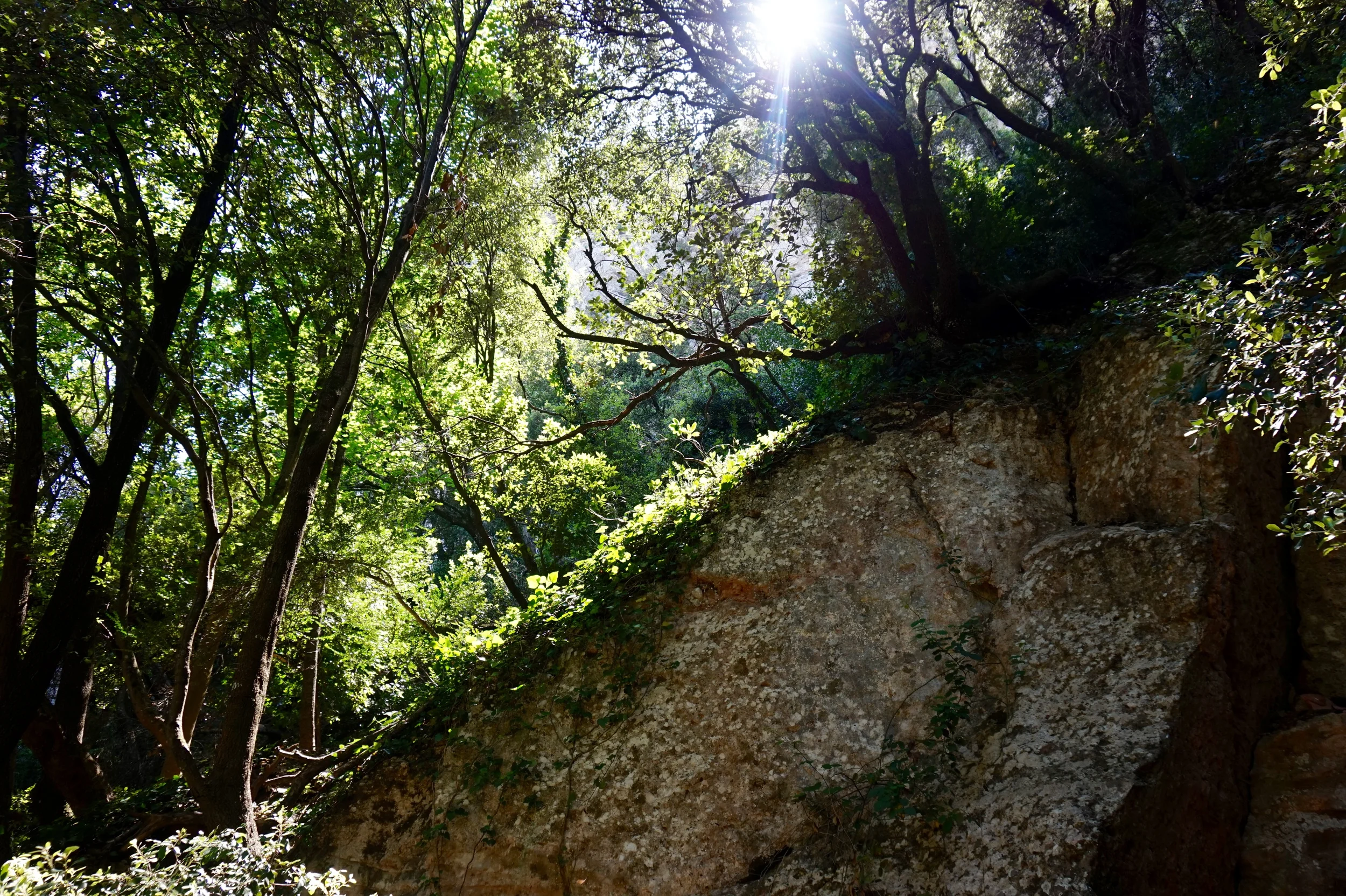 hikingmontserrat.jpg