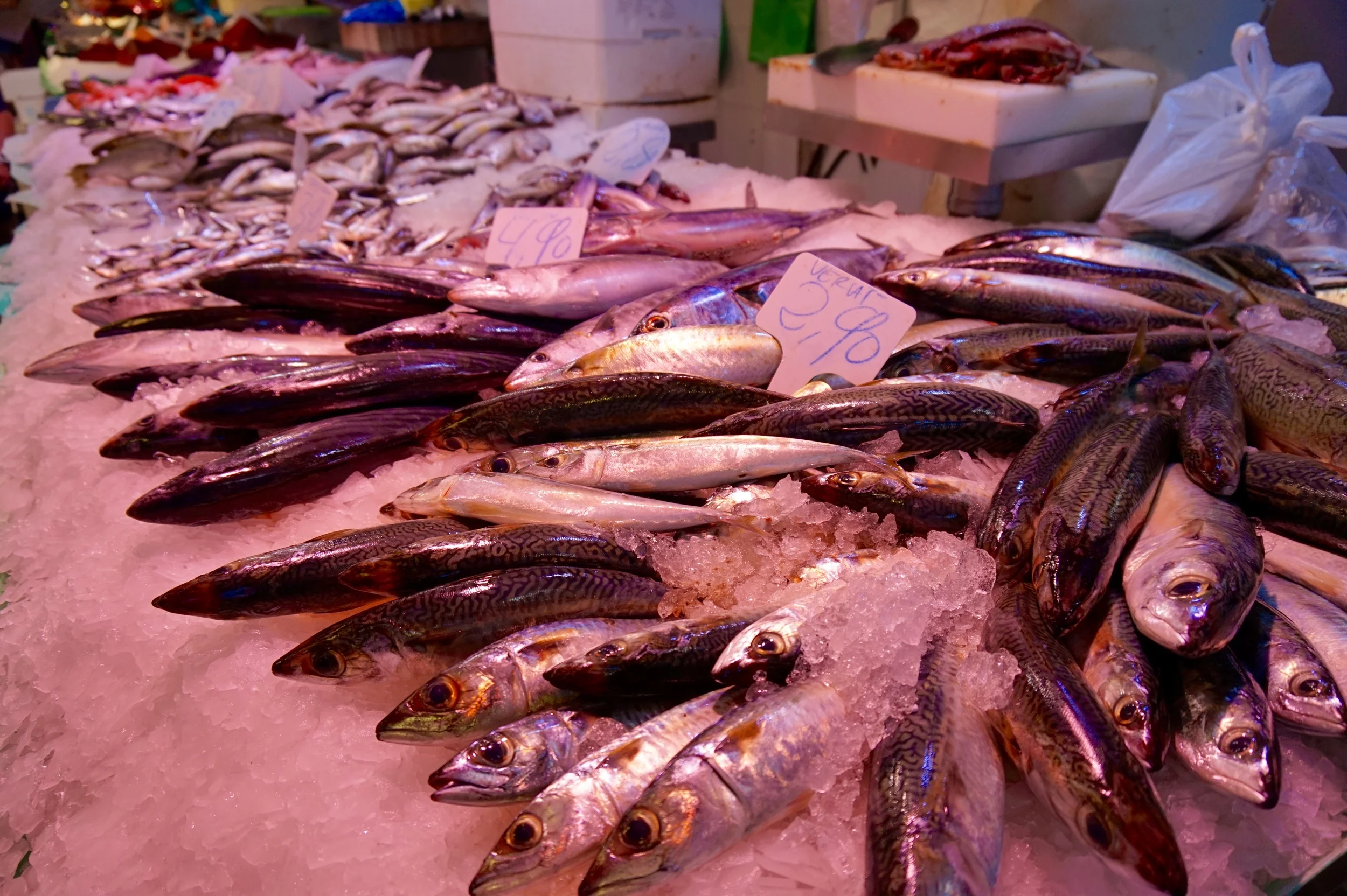 spainfreshfish.jpg